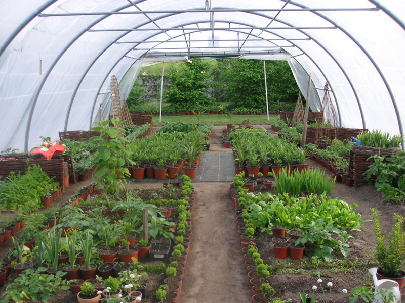 Jardin de Marta, Adriers - photo 2