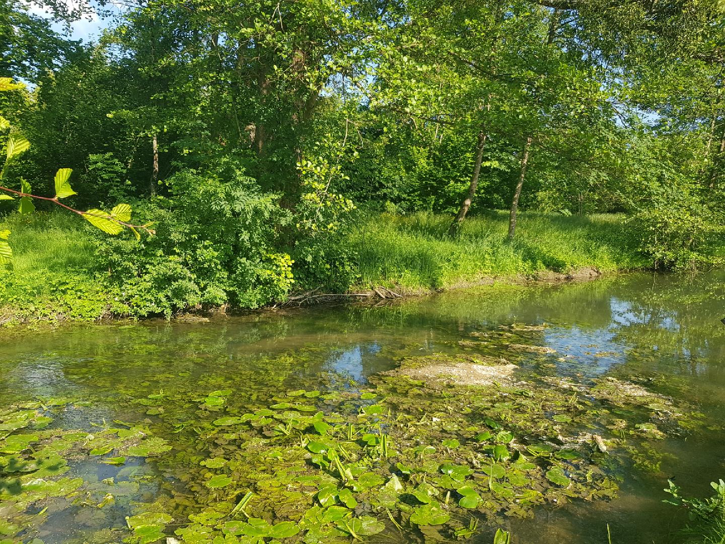 Jardins de La Clouère, Usson-du-Poitou - photo 11