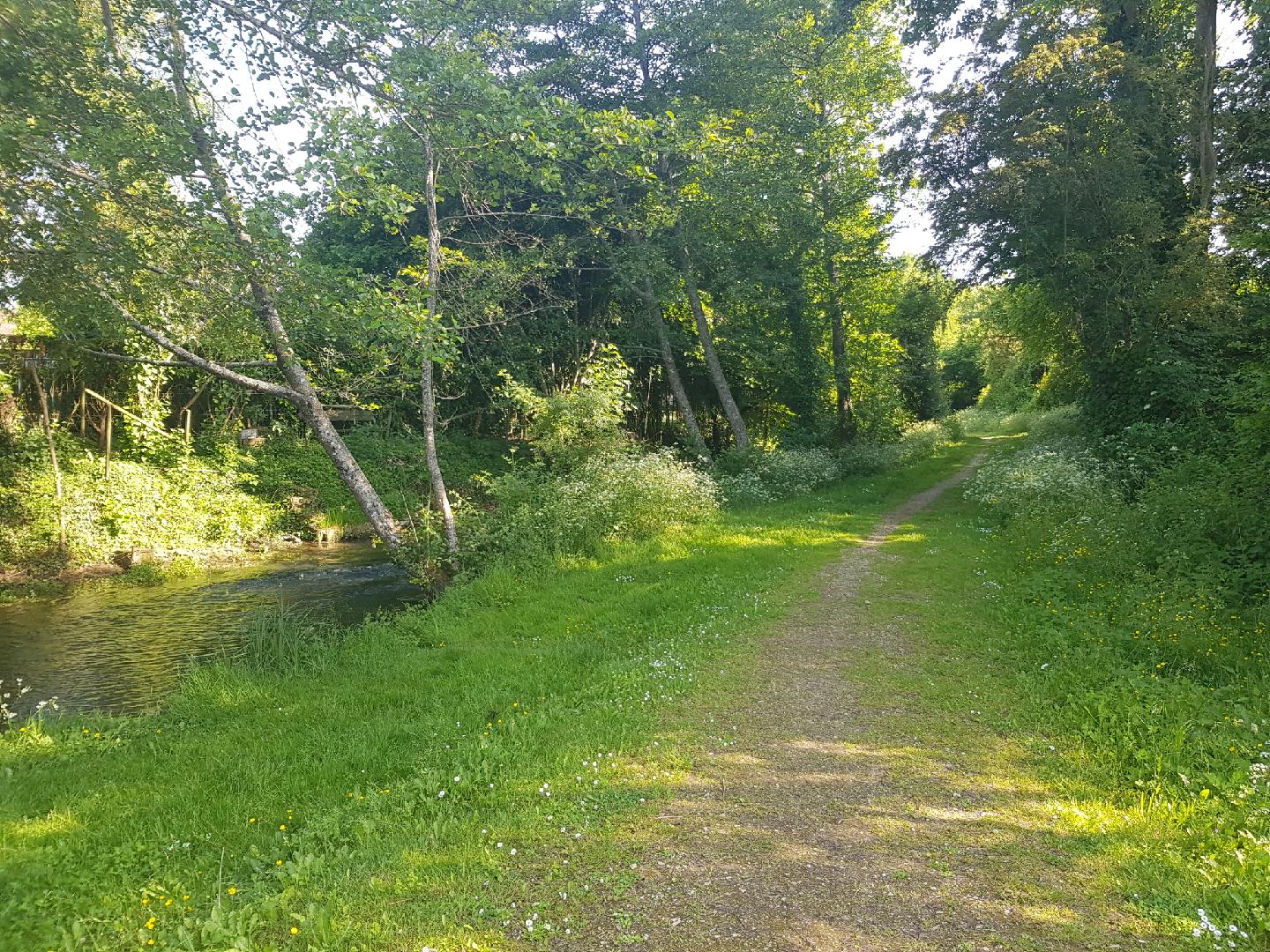 Jardins de La Clouère, Usson-du-Poitou - photo 10