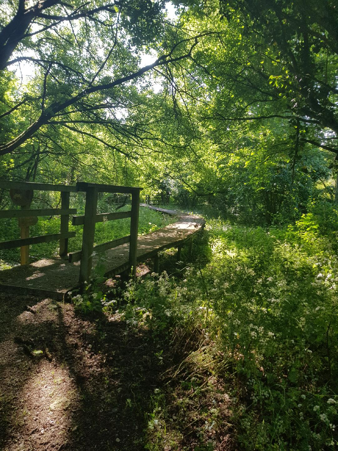 Jardins de La Clouère, Usson-du-Poitou - photo 7