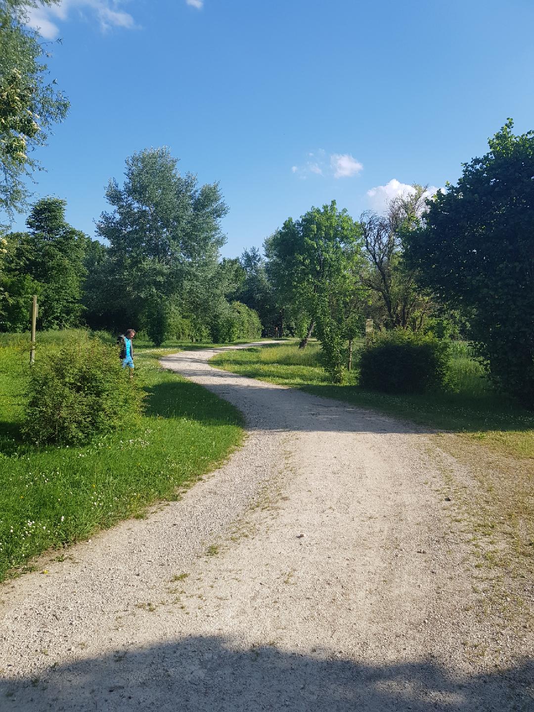 Jardins de La Clouère, Usson-du-Poitou - photo 4
