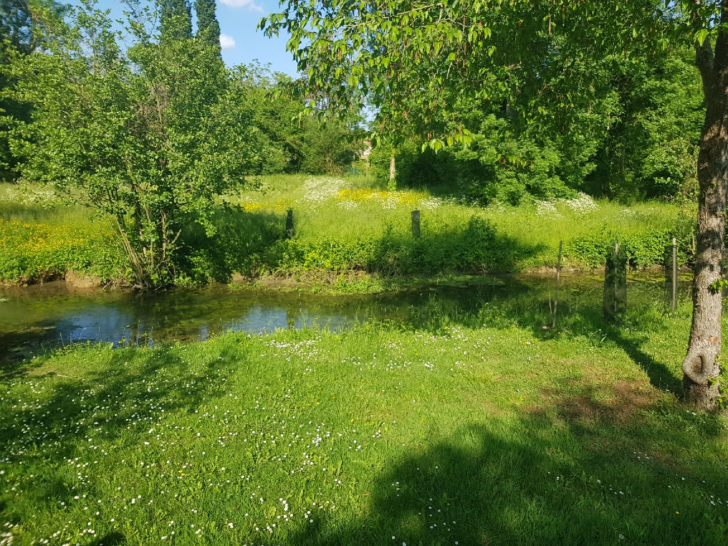 Jardins de La Clouère, Usson-du-Poitou - photo 12