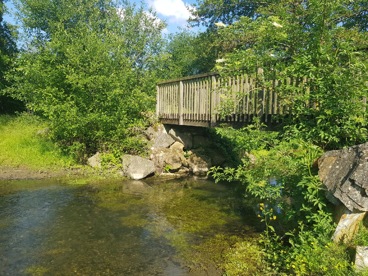 Jardins de La Clouère, Usson-du-Poitou - photo 3