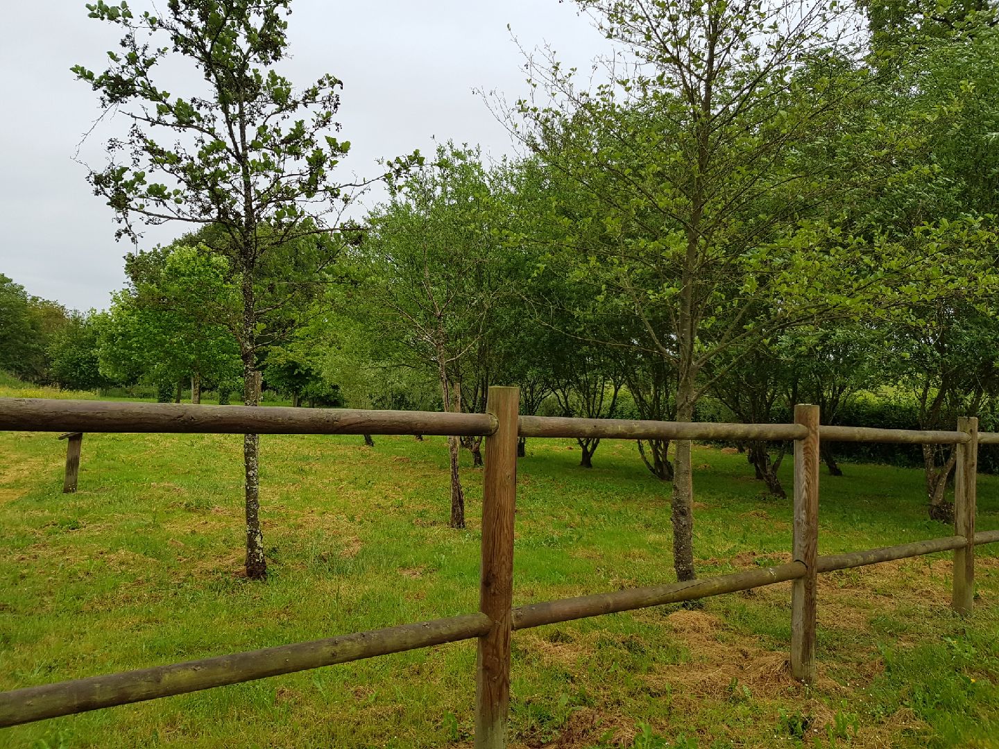 Arboretum de la Bussière, La Bussière