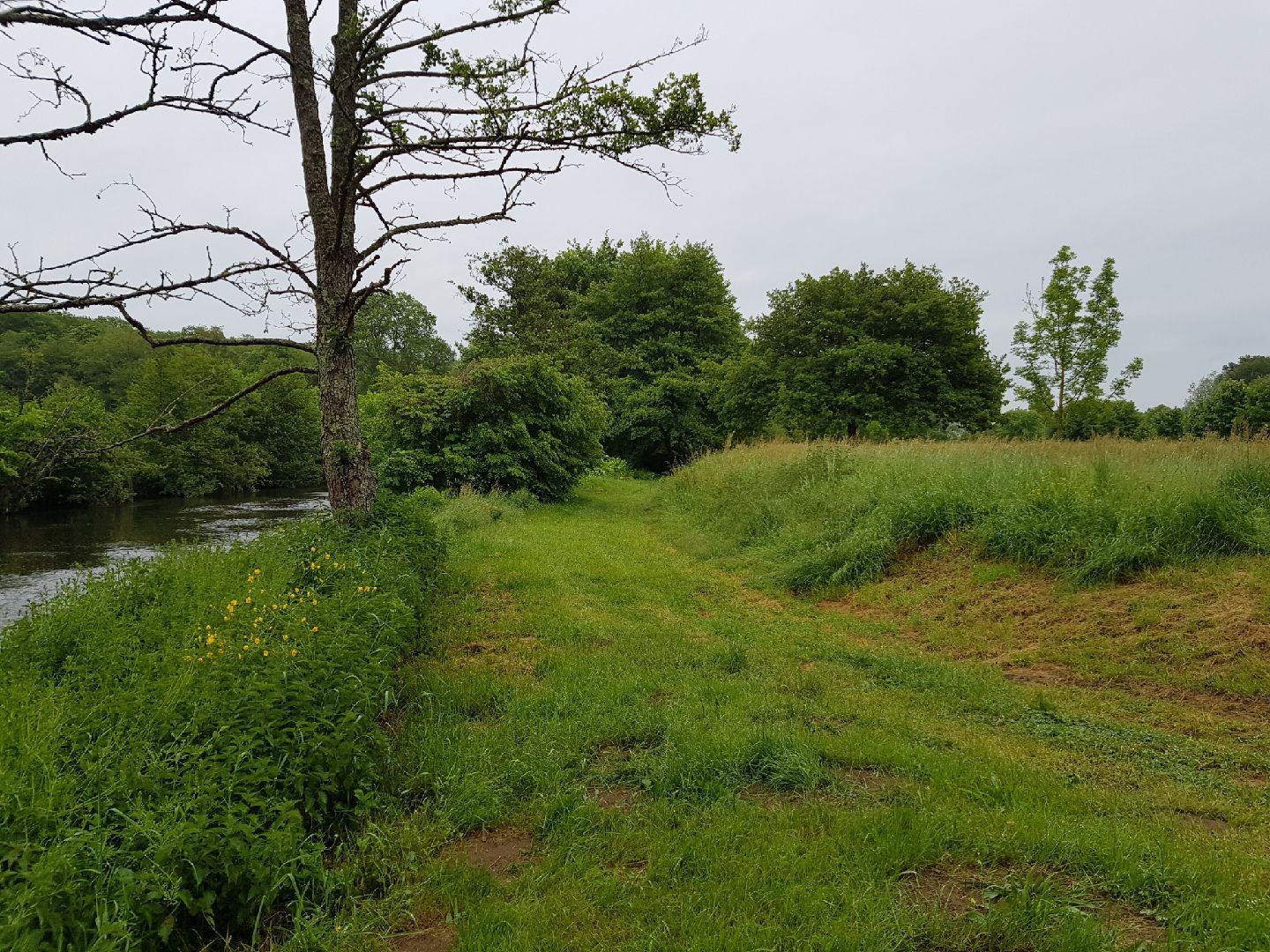 Arboretum de la Bussière, La Bussière - photo 6