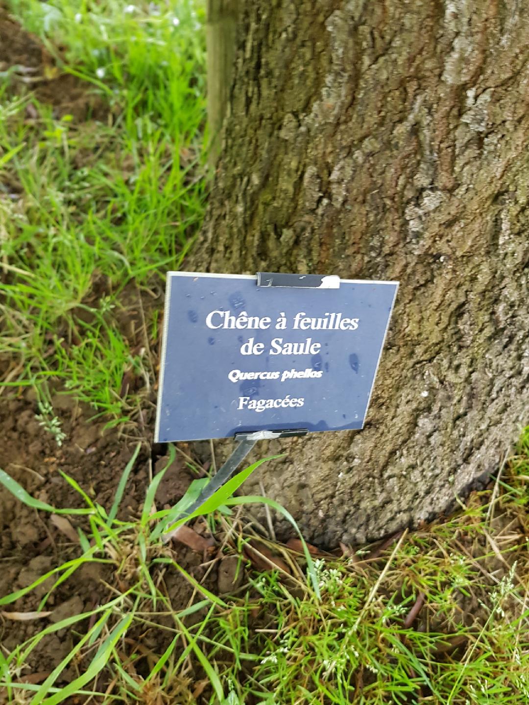 Arboretum de la Bussière, La Bussière - photo 4