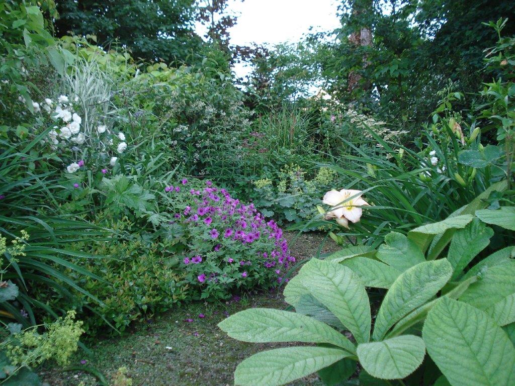 Jardin de Mô, Adriers - photo 3