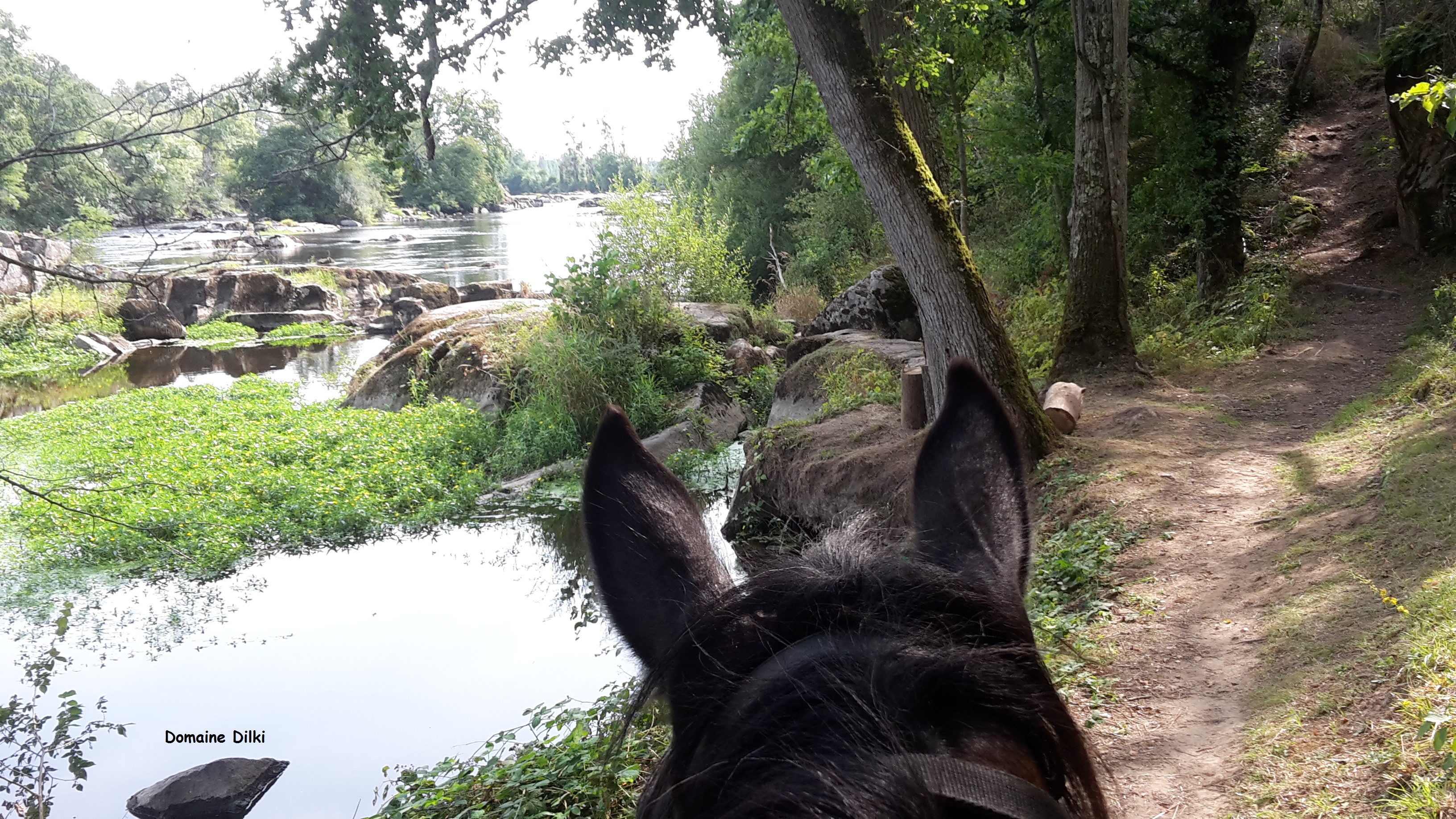 Domaine Dilki