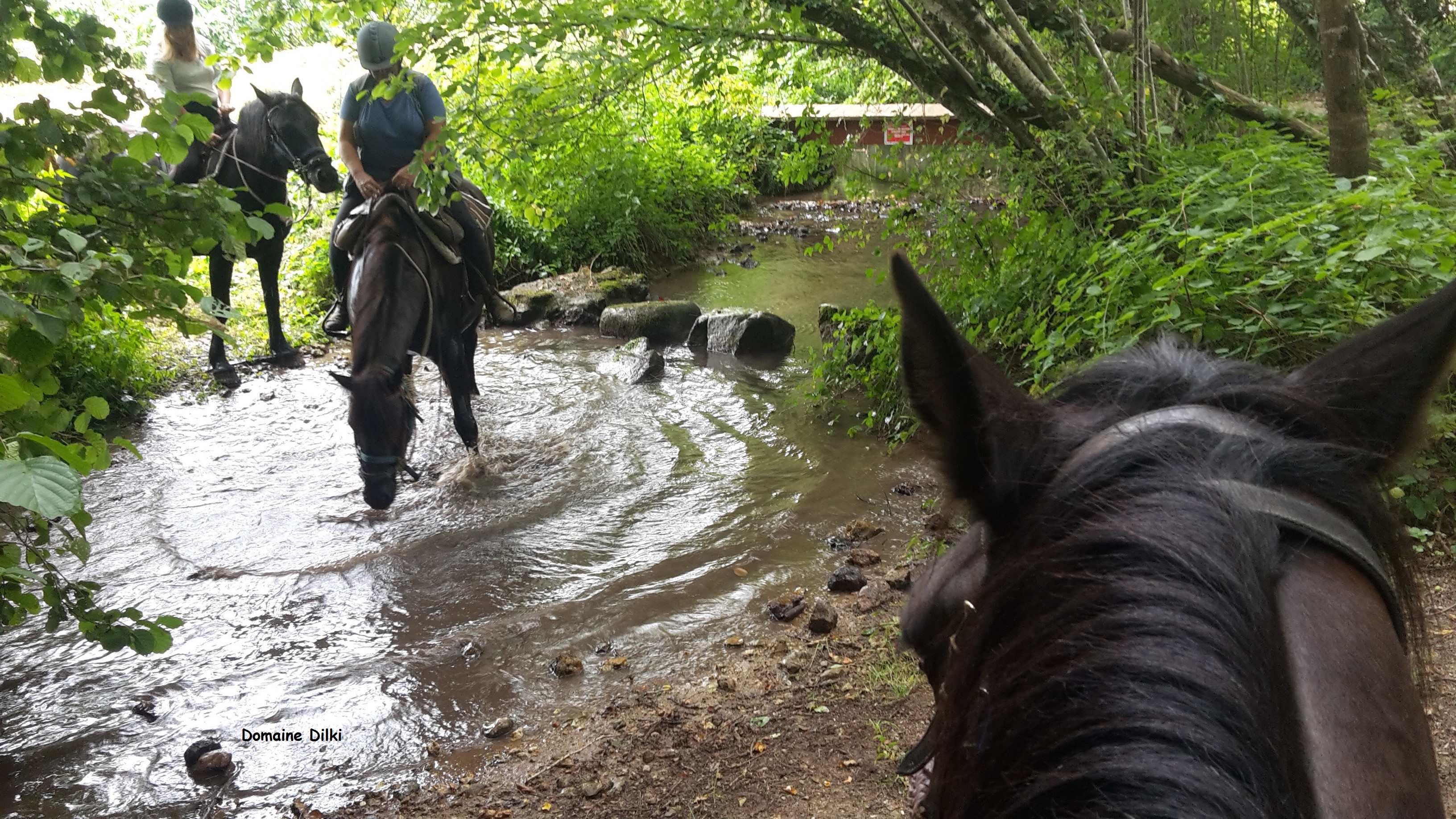 Domaine Dilki - photo 2