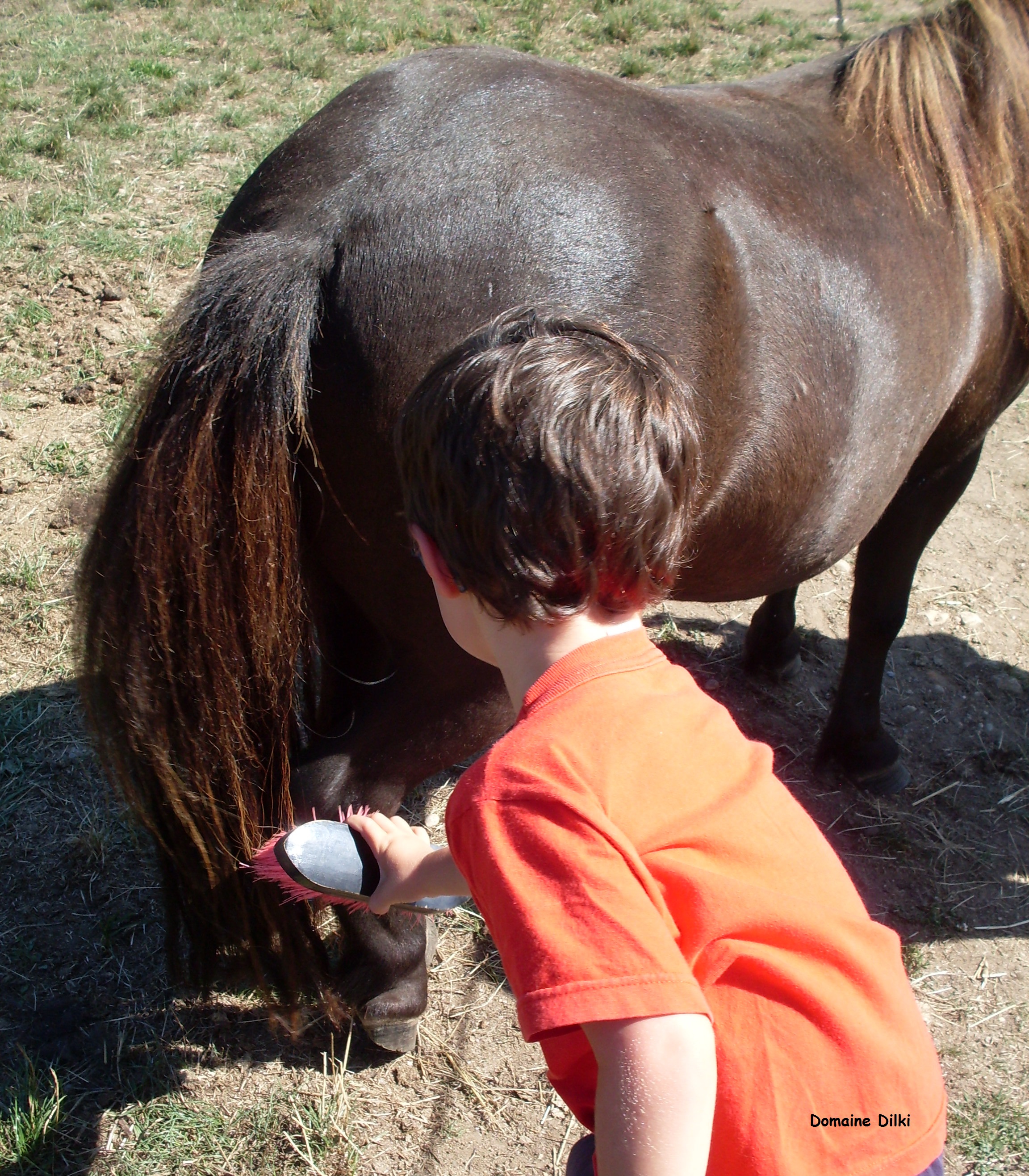 Domaine Dilki - photo 5