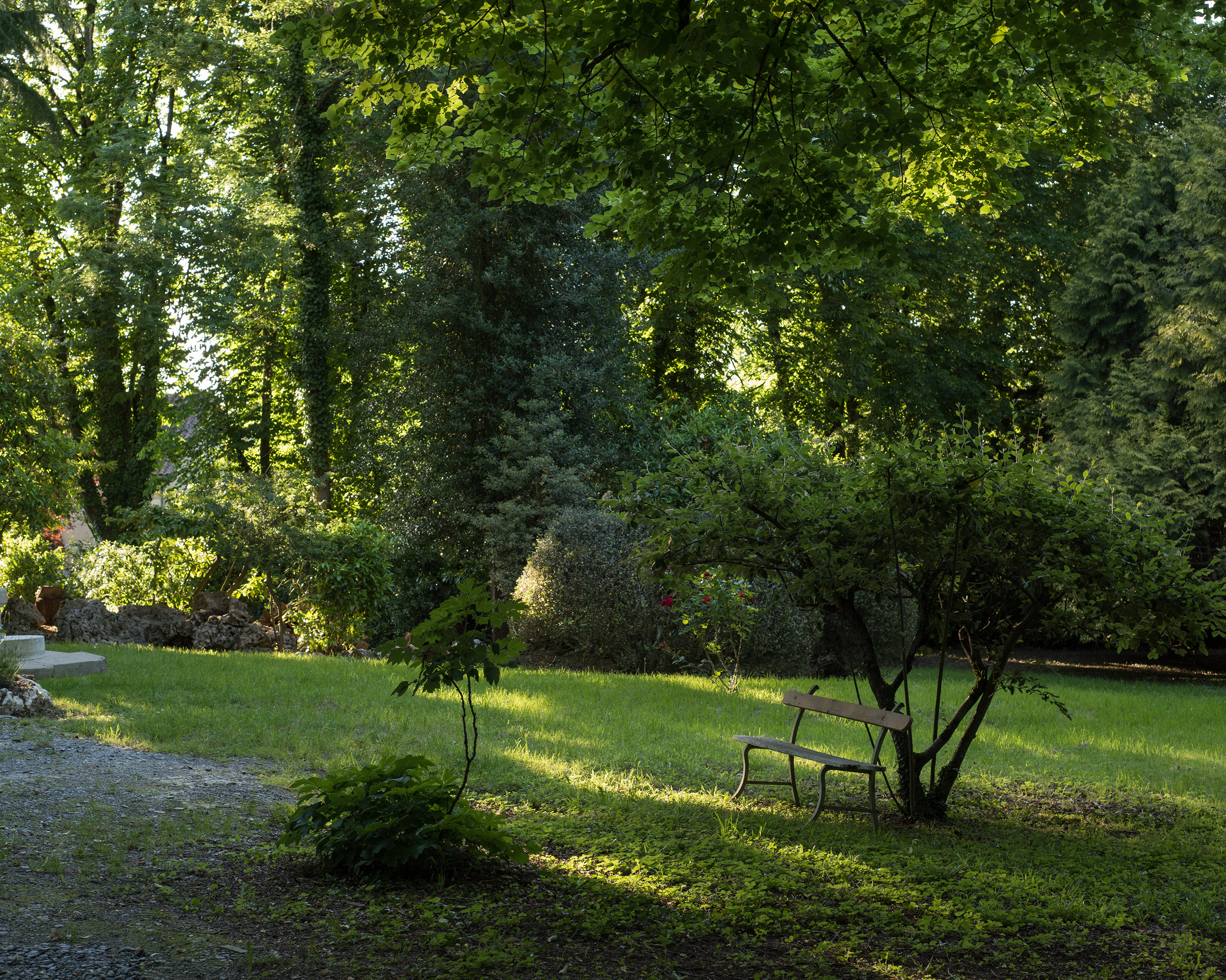 Le Castel, Lussac-les-Châteaux - photo 6