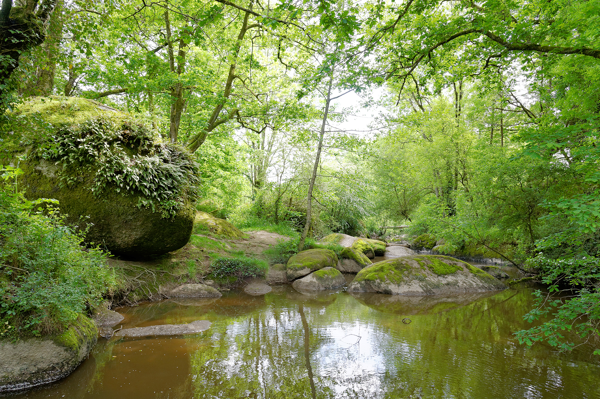 Jardin des Chirons - Rocher Branlant