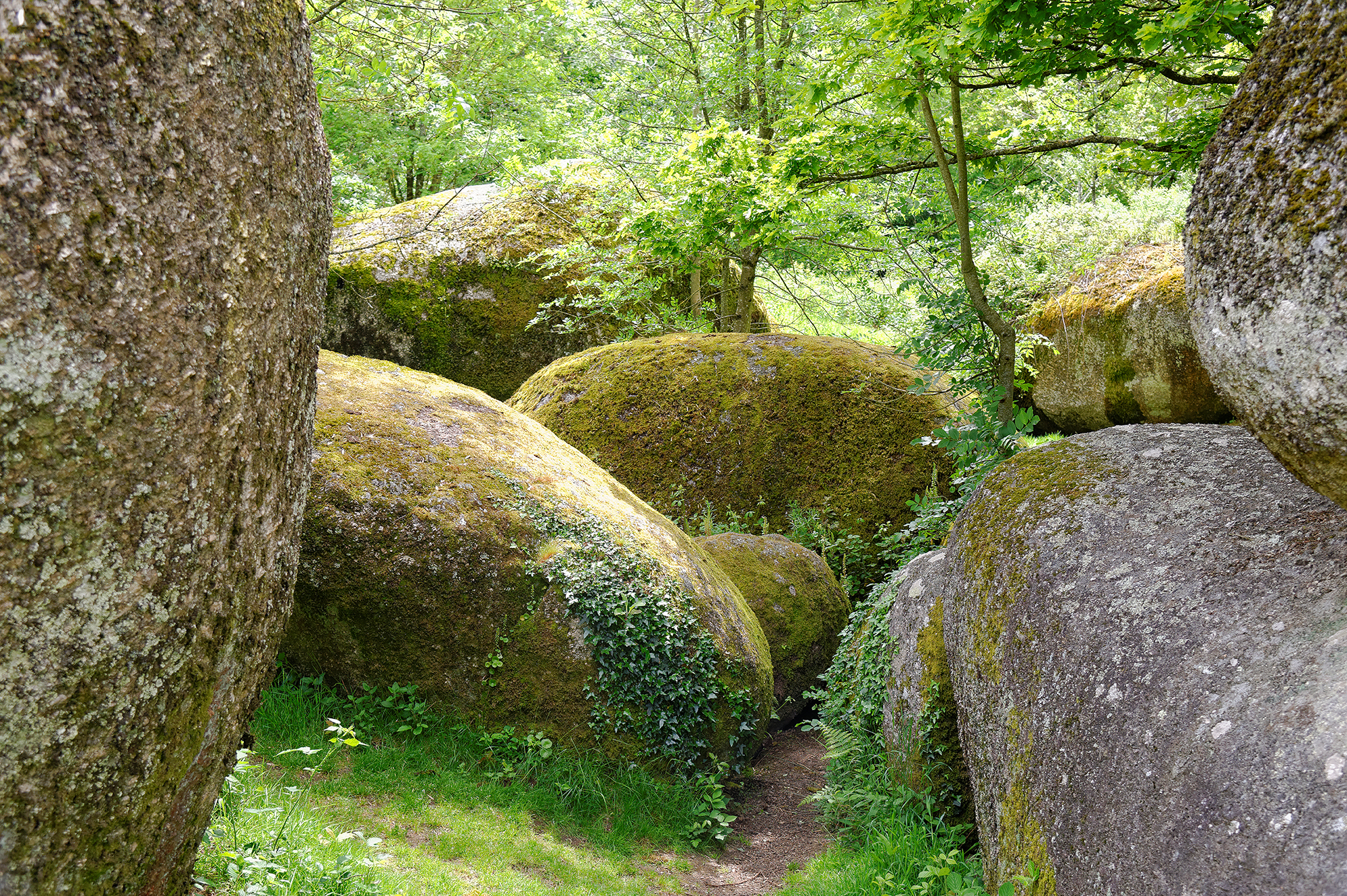 Jardin des Chirons - Rocher Branlant, Largeasse - photo 8