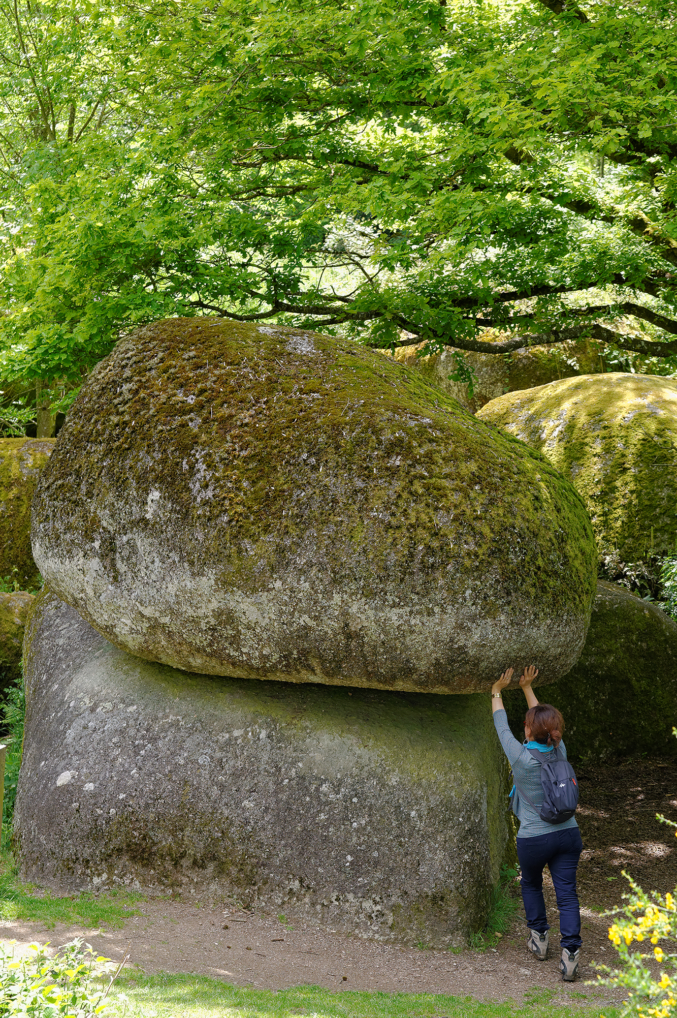 Jardin des Chirons - Rocher Branlant, Largeasse - photo 5