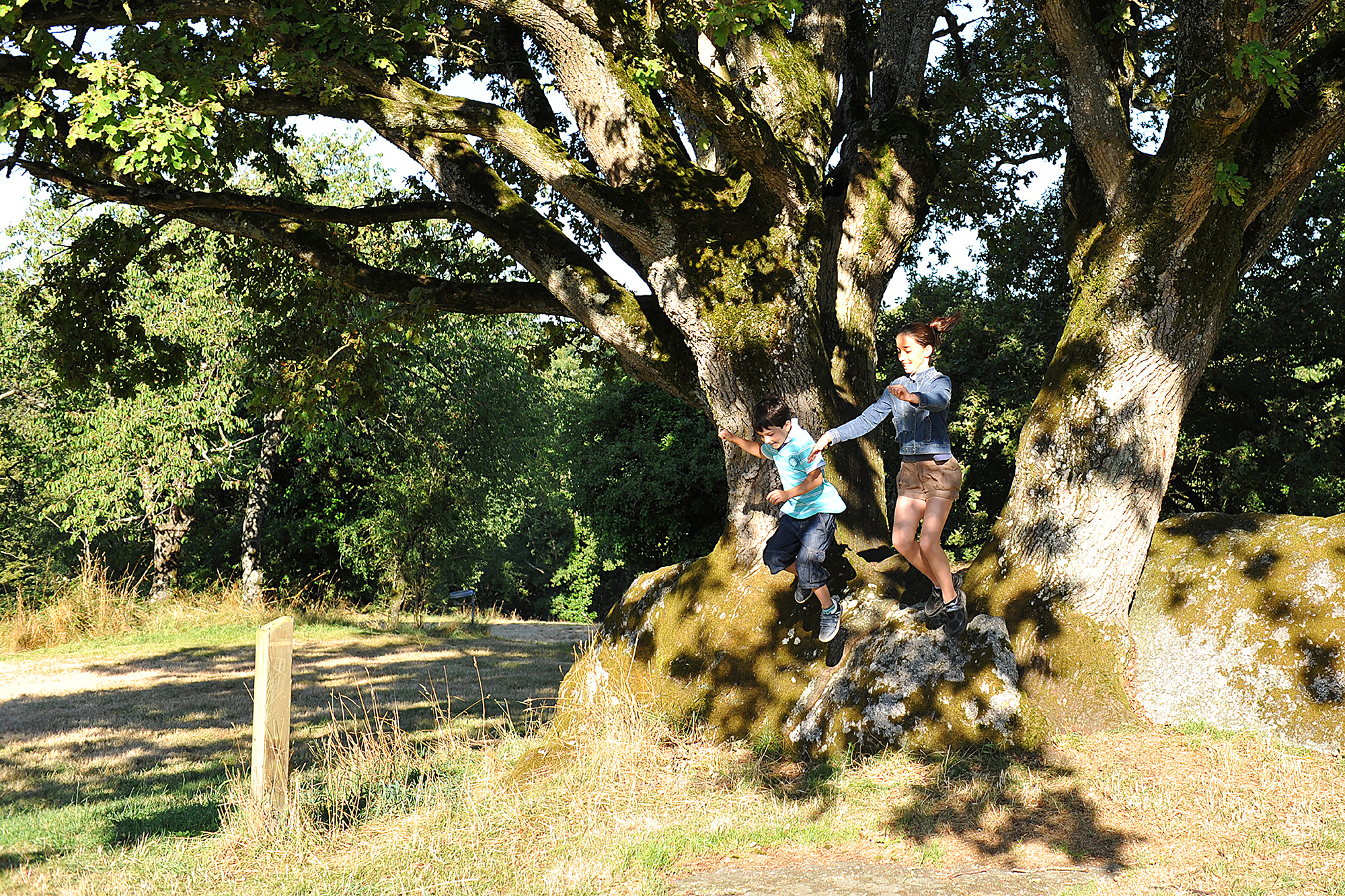 Jardin des Chirons - Rocher Branlant, Largeasse