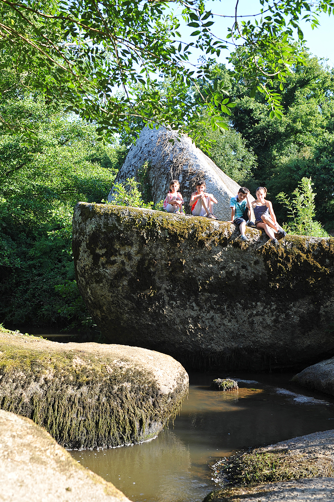 Jardin des Chirons - Rocher Branlant, Largeasse - photo 6