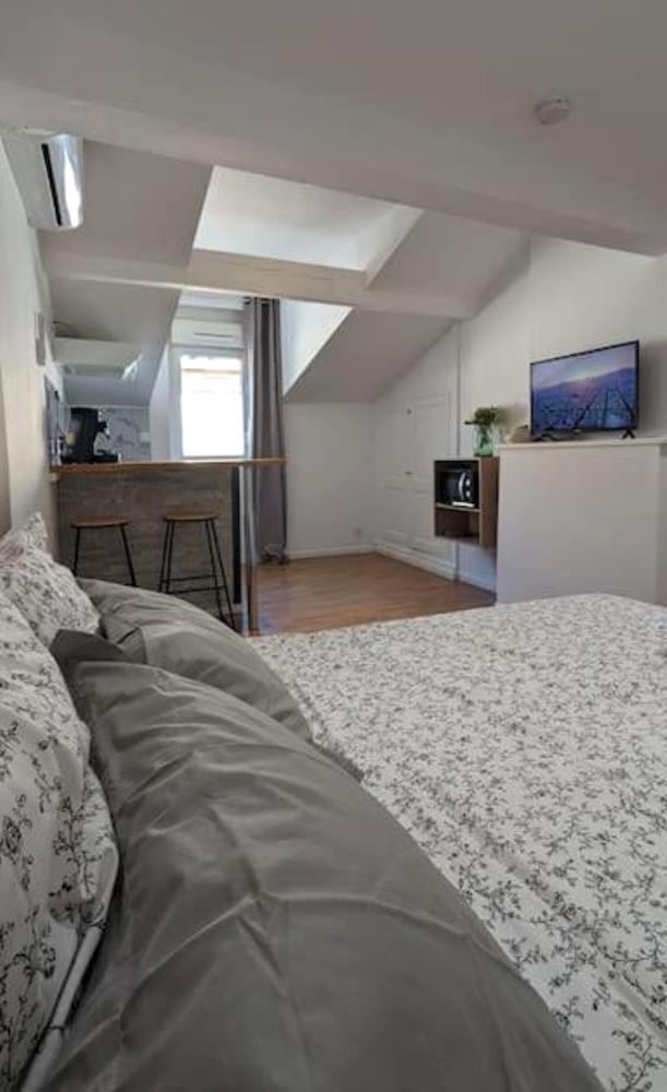 Grand studio Lagasse, Agen - photo 5