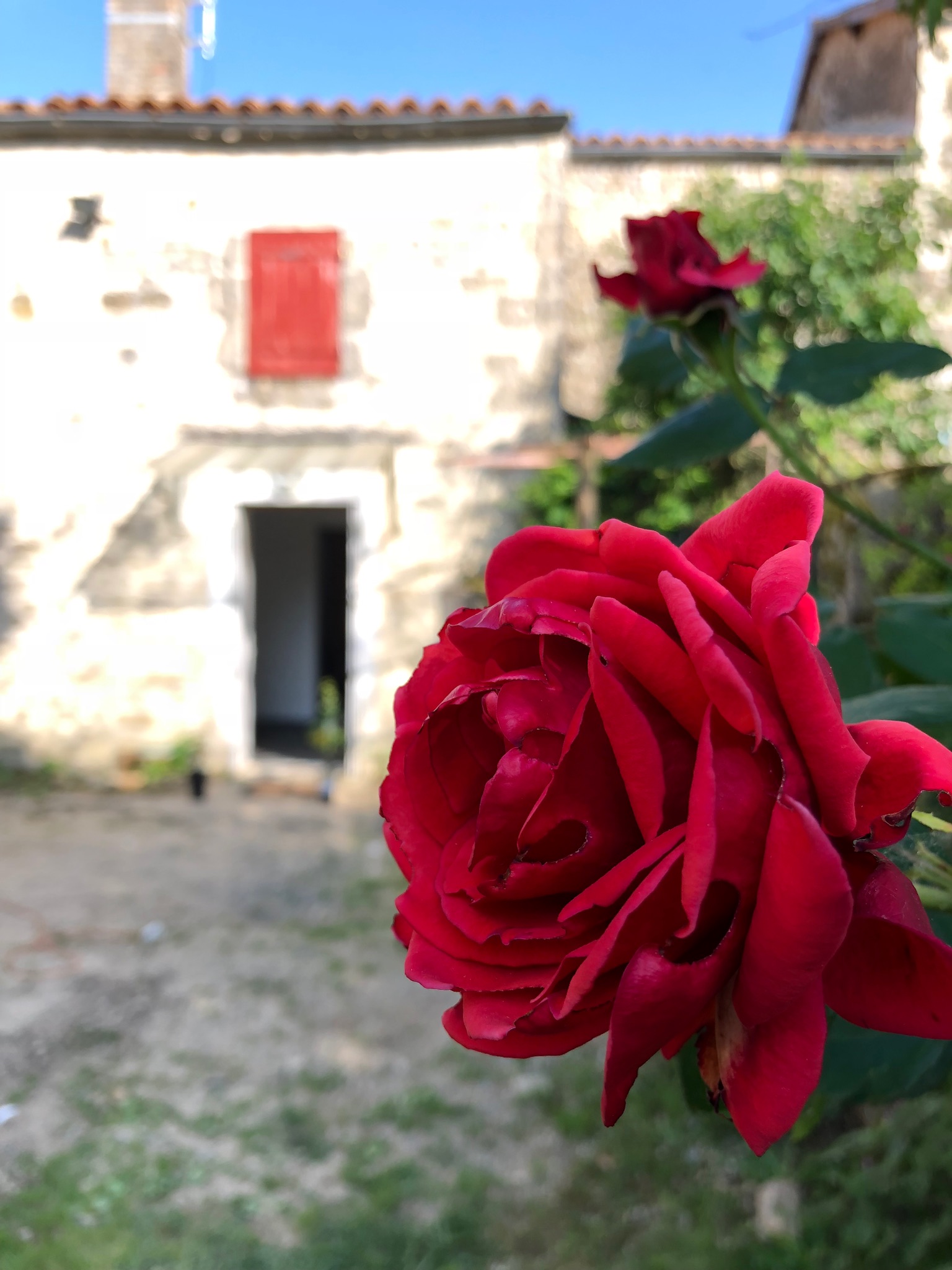 Maison de charme rénovée en coeur de village, Ardin