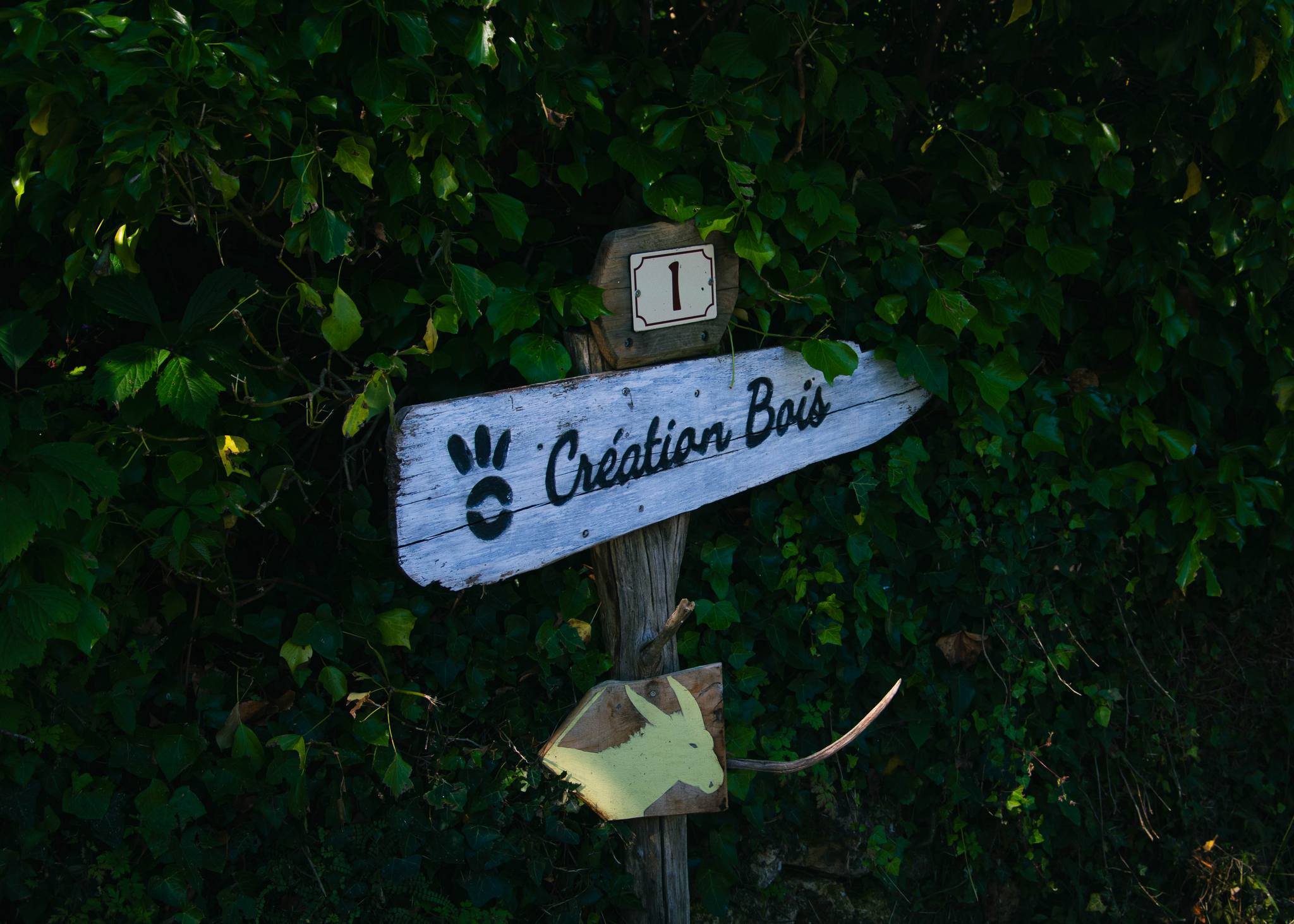 Ô Création Bois - Sylvothérapie — photo 2