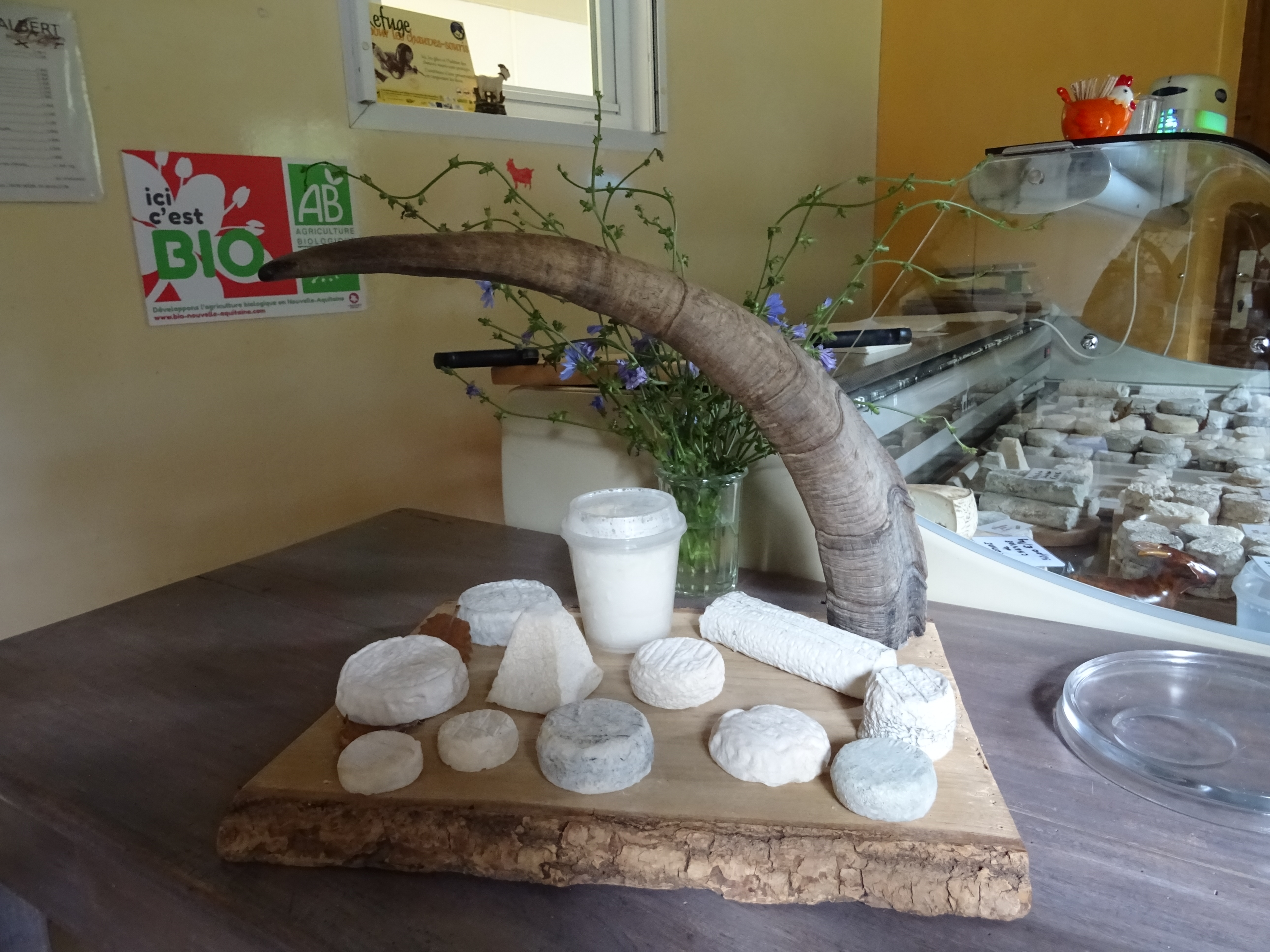 SCEA Ferme Albert
