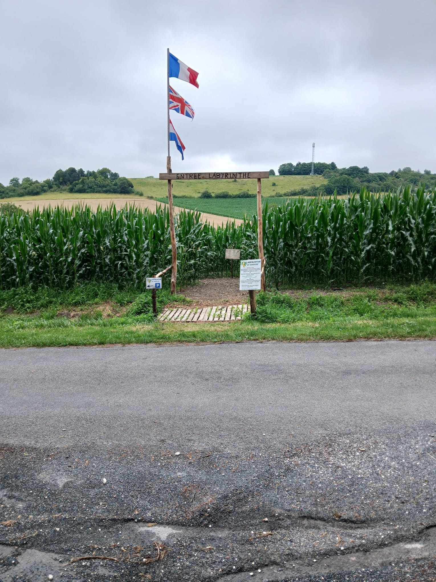 Labyrinthe de Maïs - photo 5