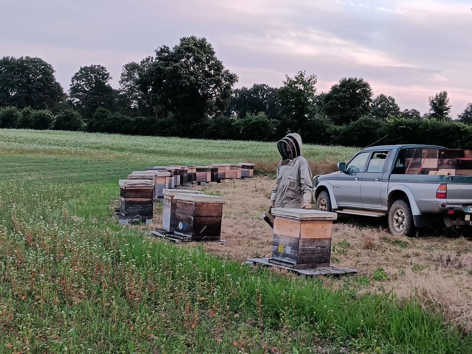 Journée Porte Ouverte - Entre Terre et Miel, Marnay - photo 2