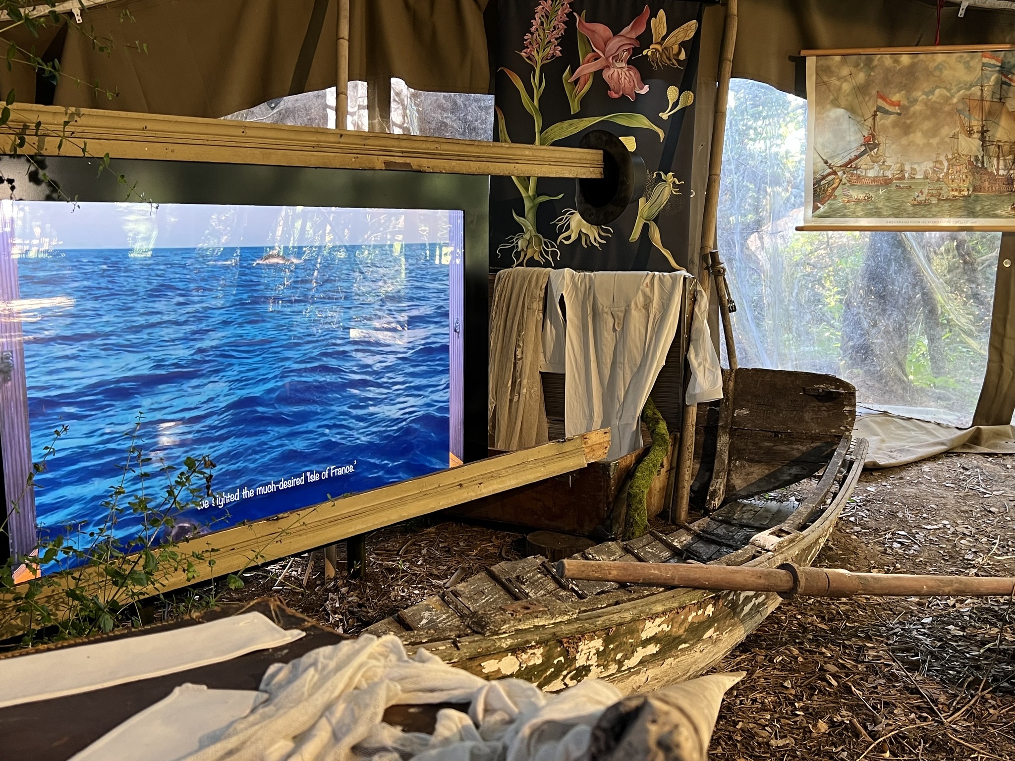 Cabinet de curiosités Latour-Marliac, Le Temple-sur-Lot - photo 7