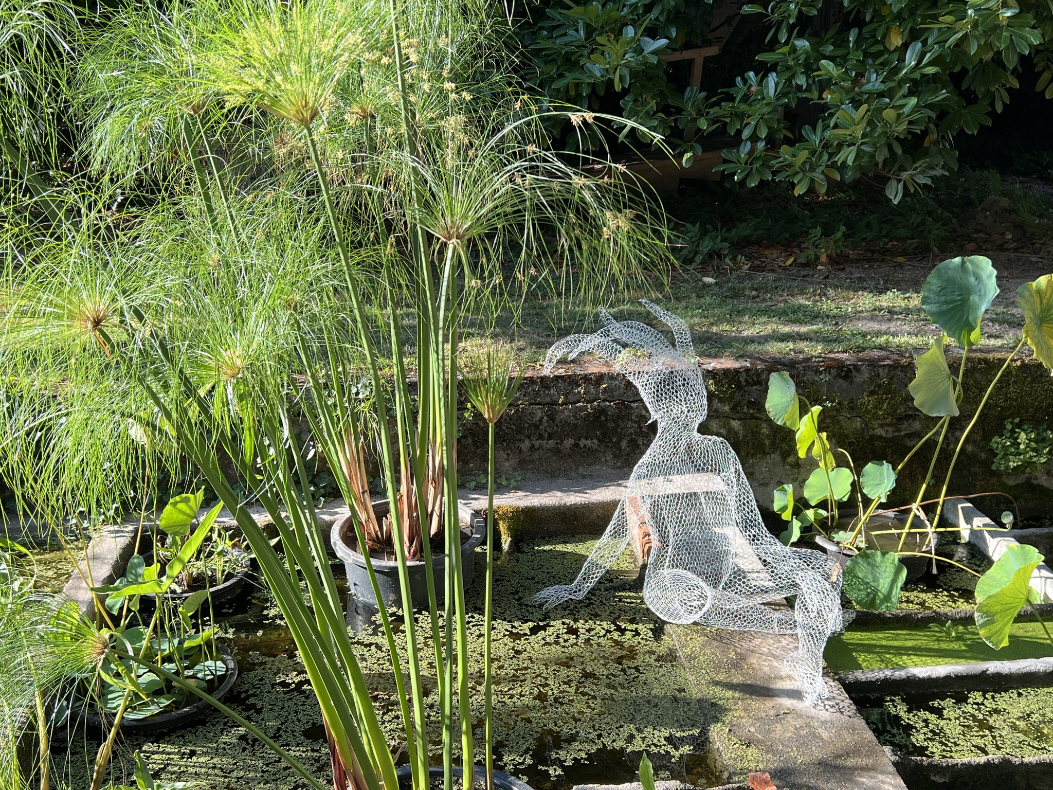 Cabinet de curiosités Latour-Marliac, Le Temple-sur-Lot - photo 3