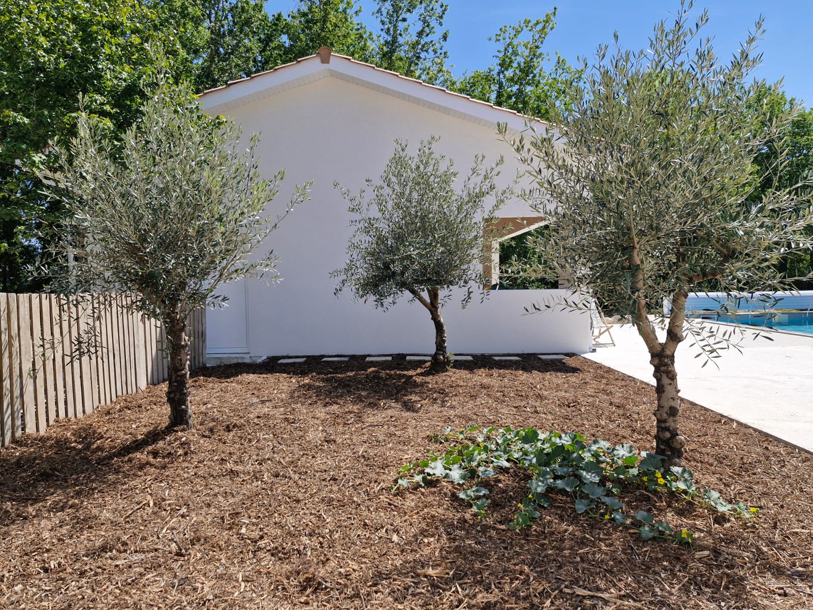 Le Pinqua, Agnac - photo 14