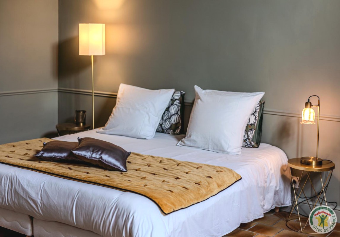 Grande Maison de Famille - Domaine la Gourre, Lédat - photo 16