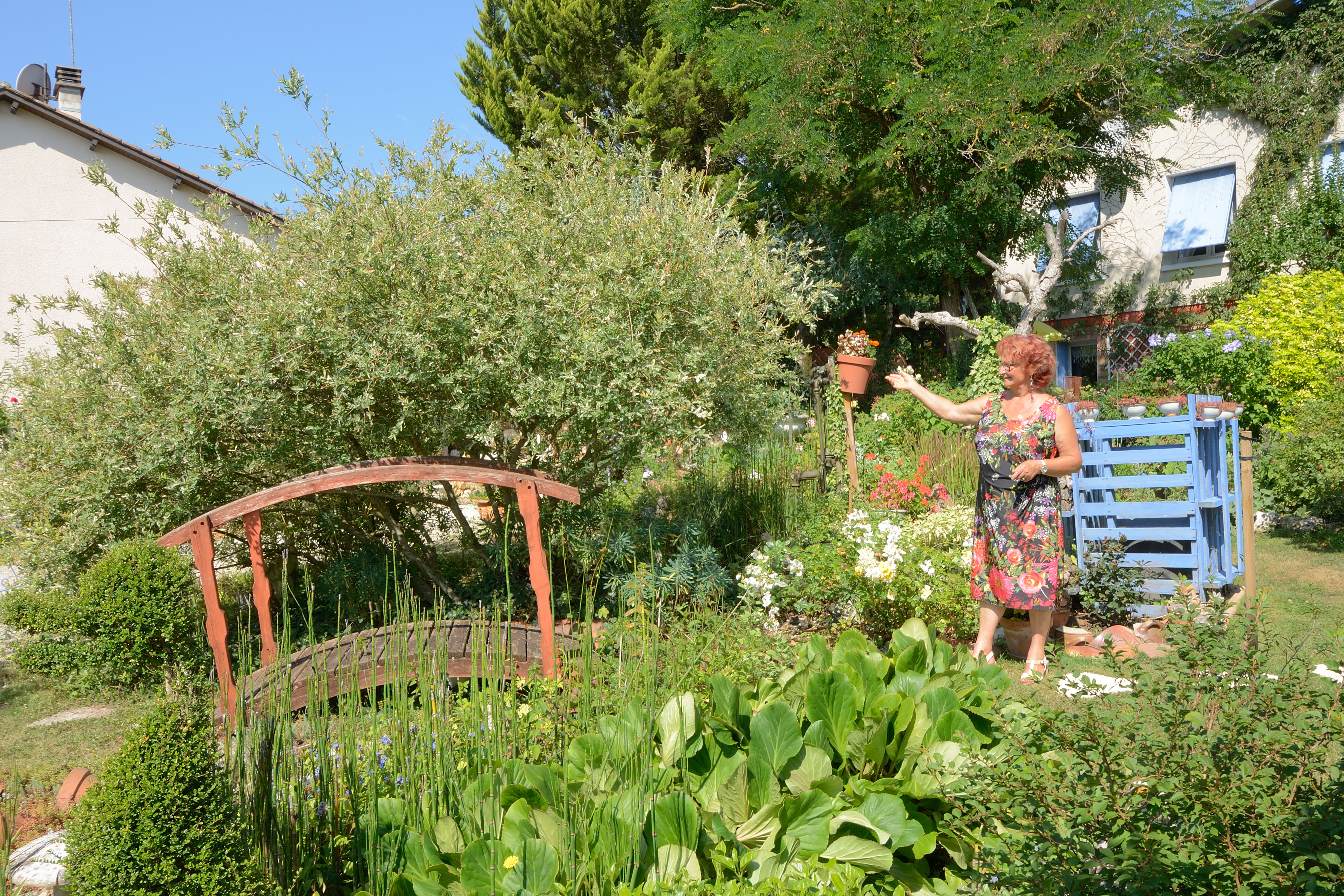 Au Paradis des fleurs et des oiseaux, Availles-Limouzine - photo 7