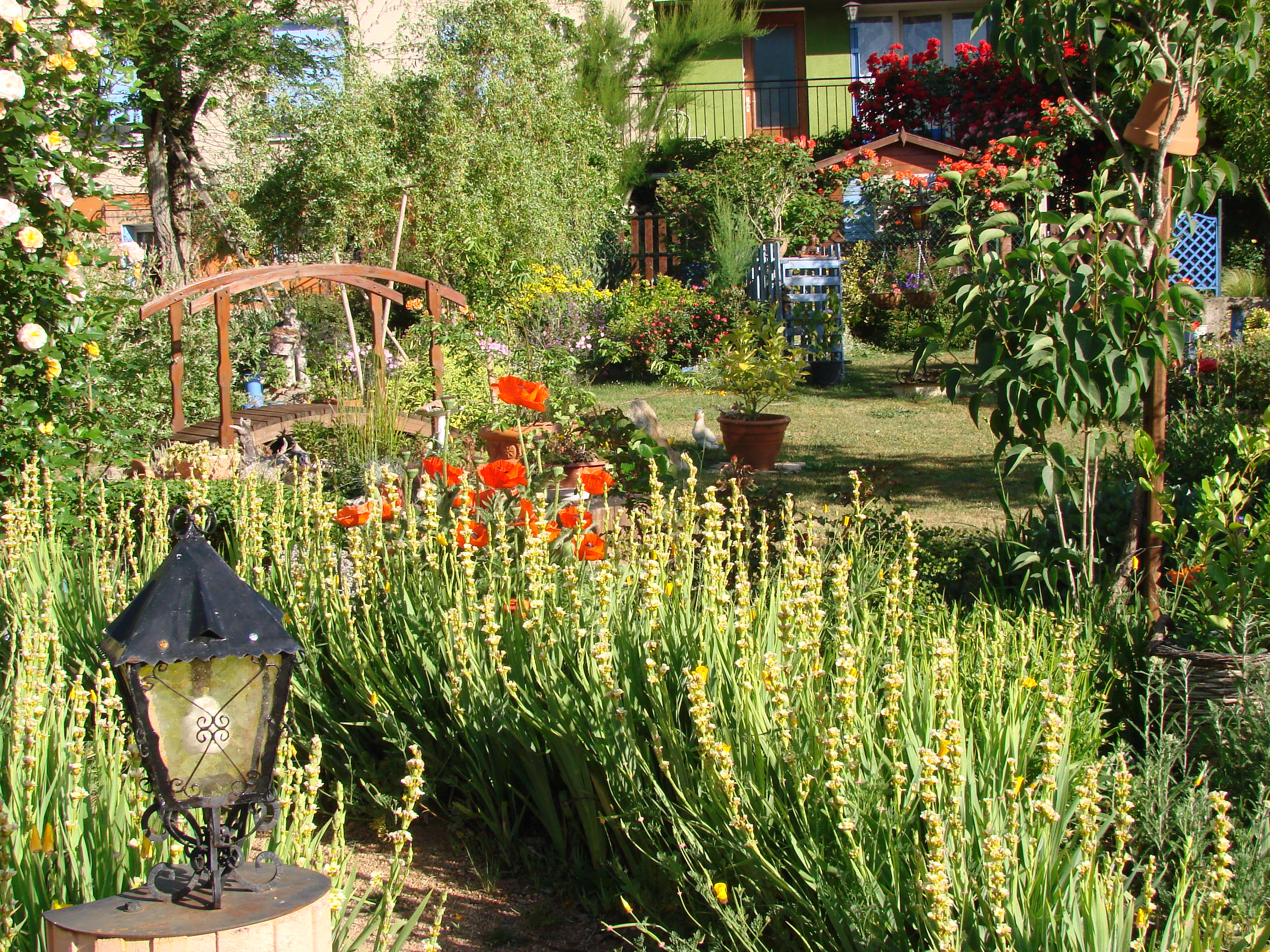 Au Paradis des fleurs et des oiseaux, Availles-Limouzine - photo 10
