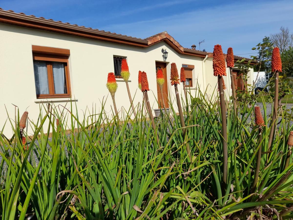 Gîte La Belle Maisonnette, Montmorillon - photo 7