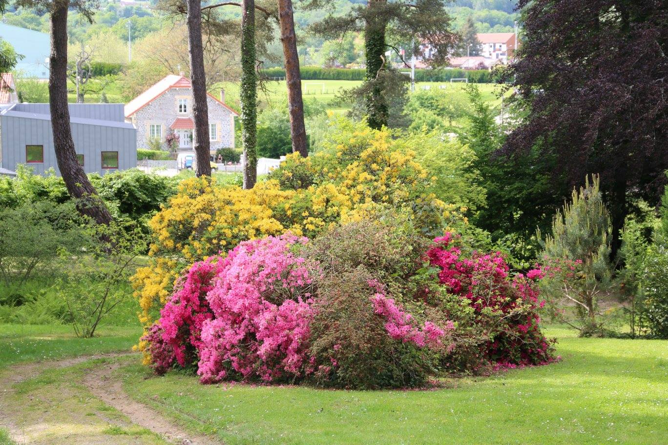 Jardin Jane Limousin, Châteauneuf-la-Forêt - photo 2
