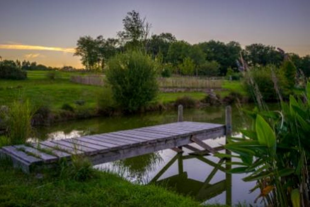 Domaine de Louveraude : La Pichonna, Saint-Dizier-la-Tour - photo 6