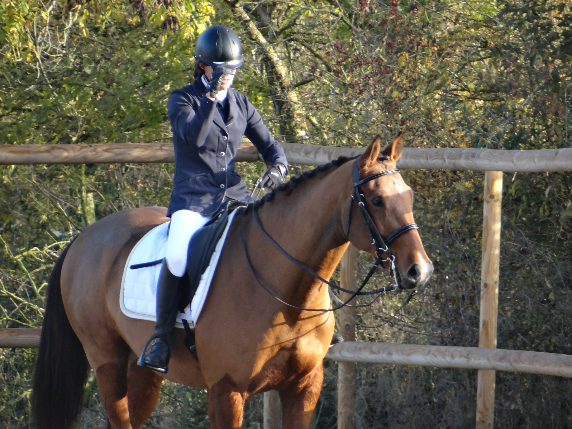 Club hippique Argentonnais, Genneton - photo 3