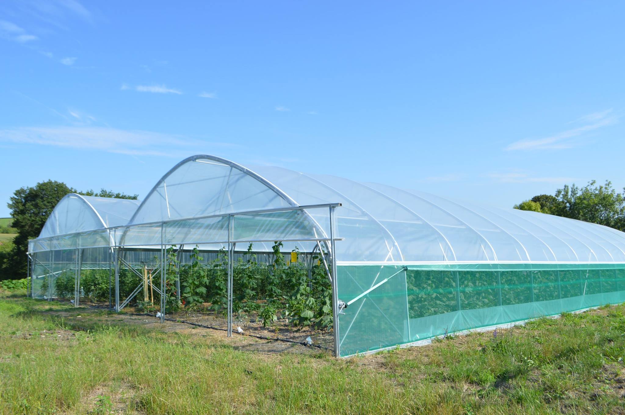 Le Potager de la Meyfrenie — photo 2