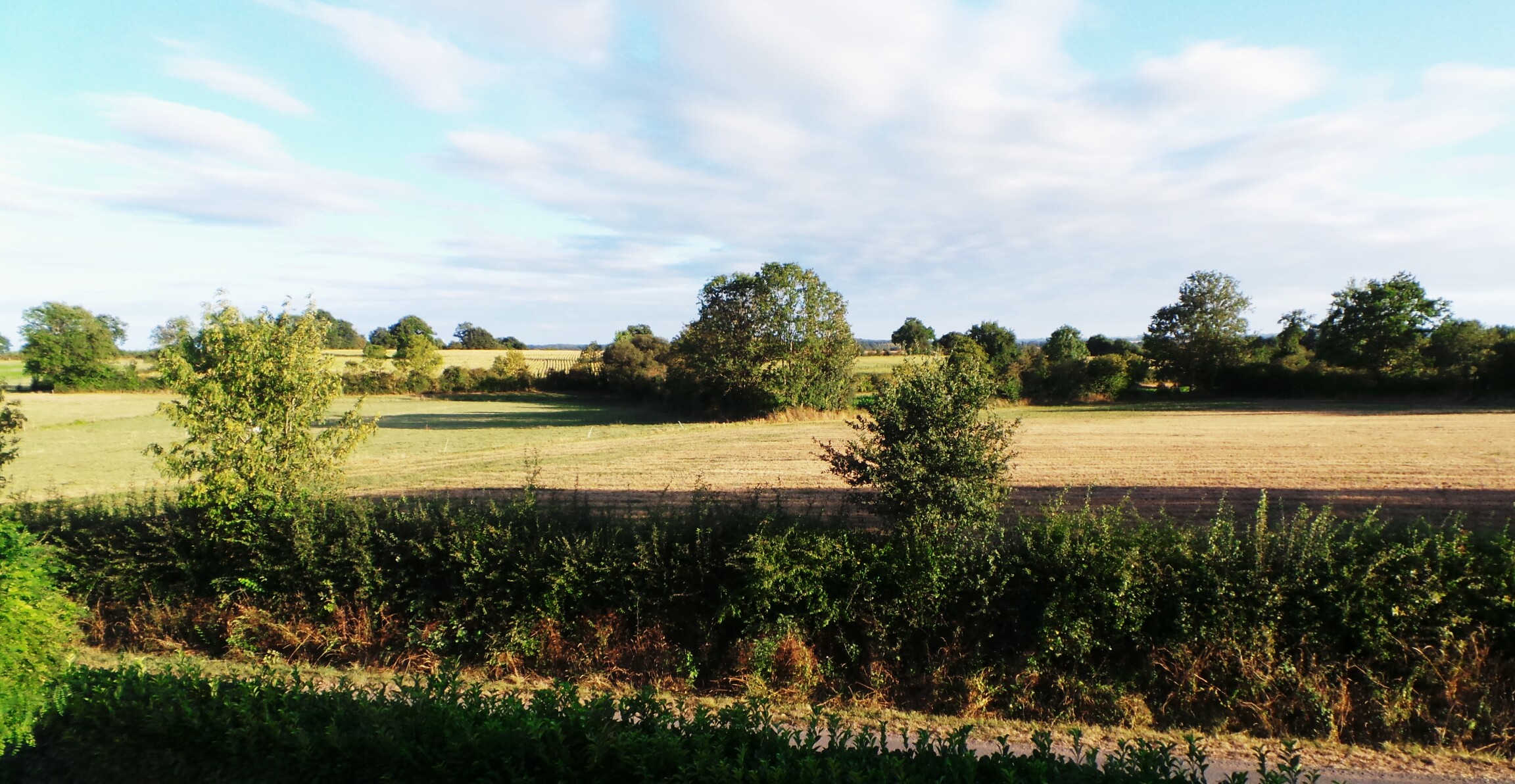 Gîte de la Mare, Moncoutant-sur-Sèvre - photo 15