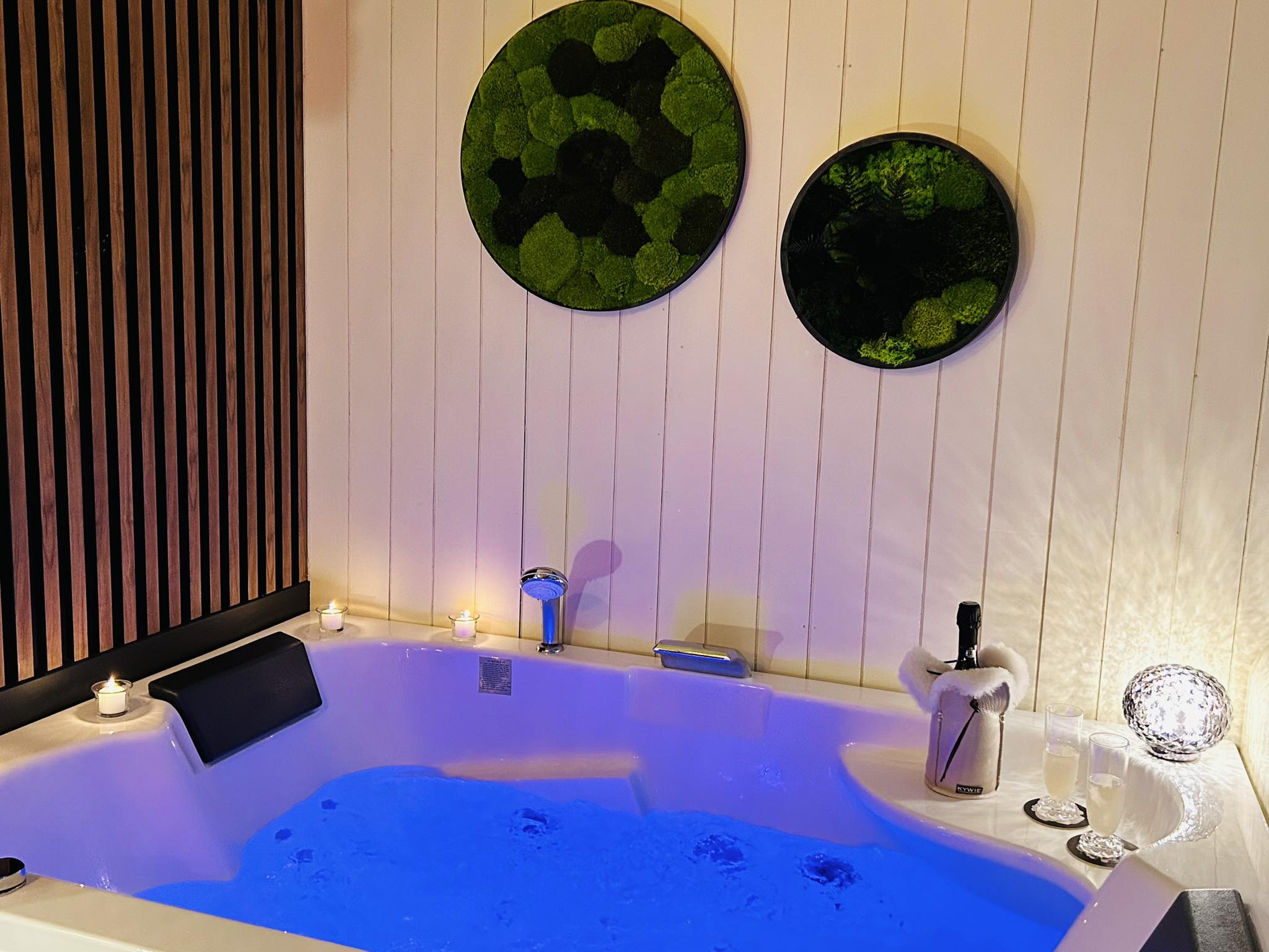 Tiny House and spa, Souvigné - photo 2