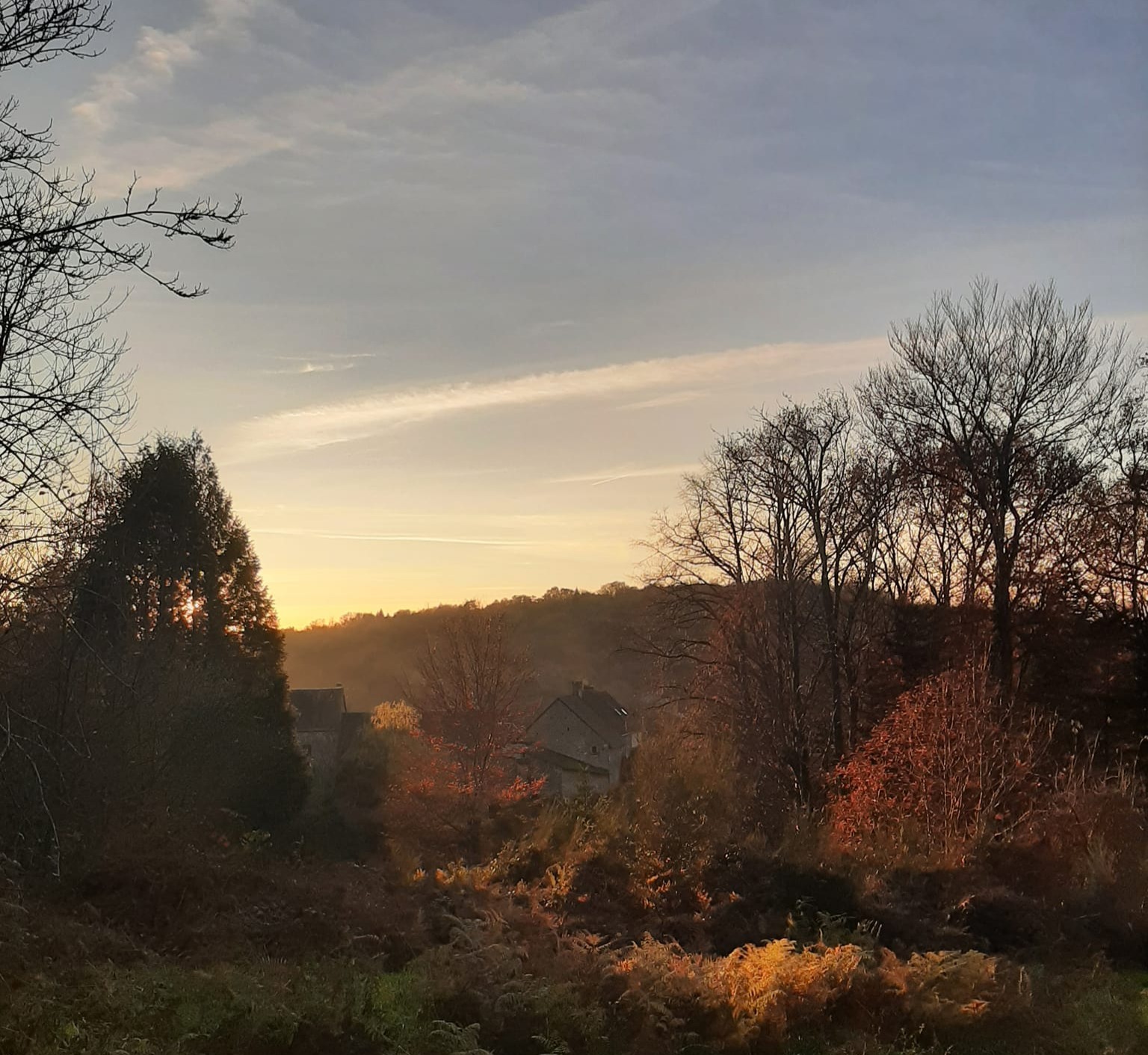 Chambre d'hôtes Les Roches, Jabreilles-les-Bordes - photo 4
