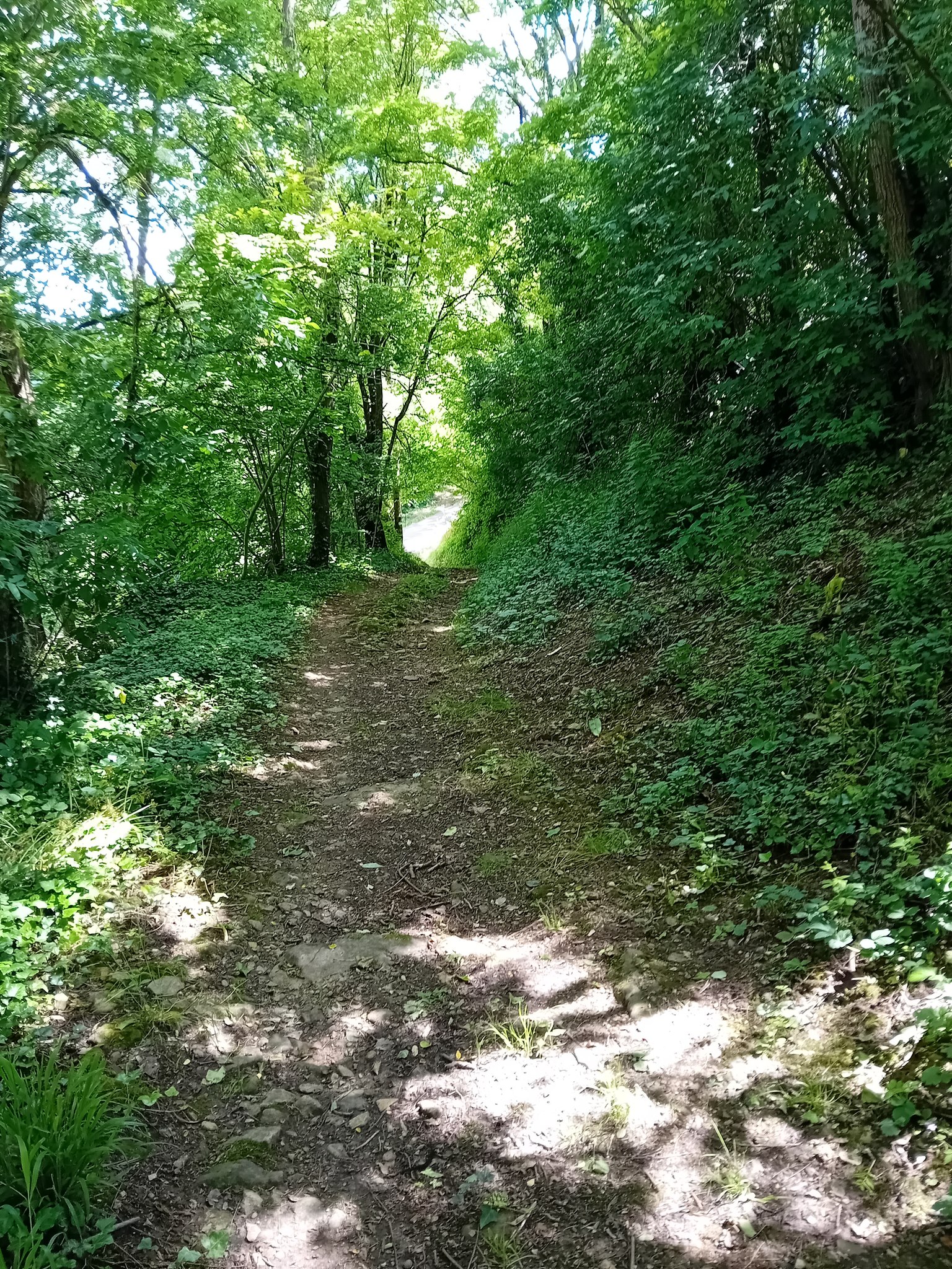 Trail au fil des vallées - parcours 4, Azay-le-Brûlé - photo 2