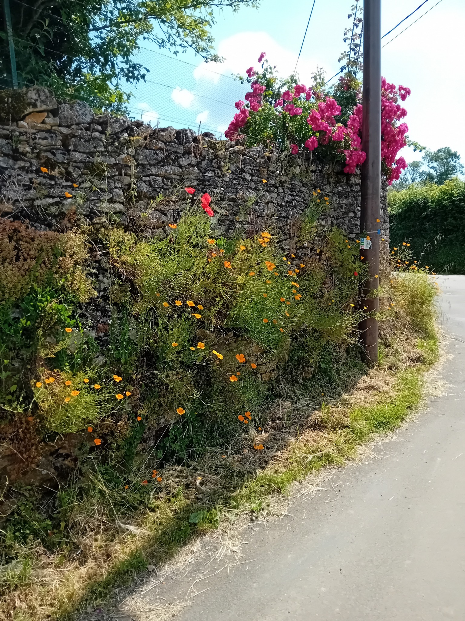 Trail au fil des vallées - parcours 4