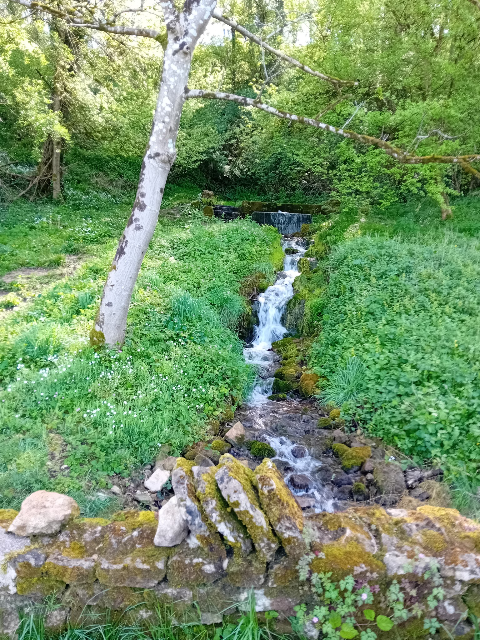 Trail au fil des vallées - parcours 8