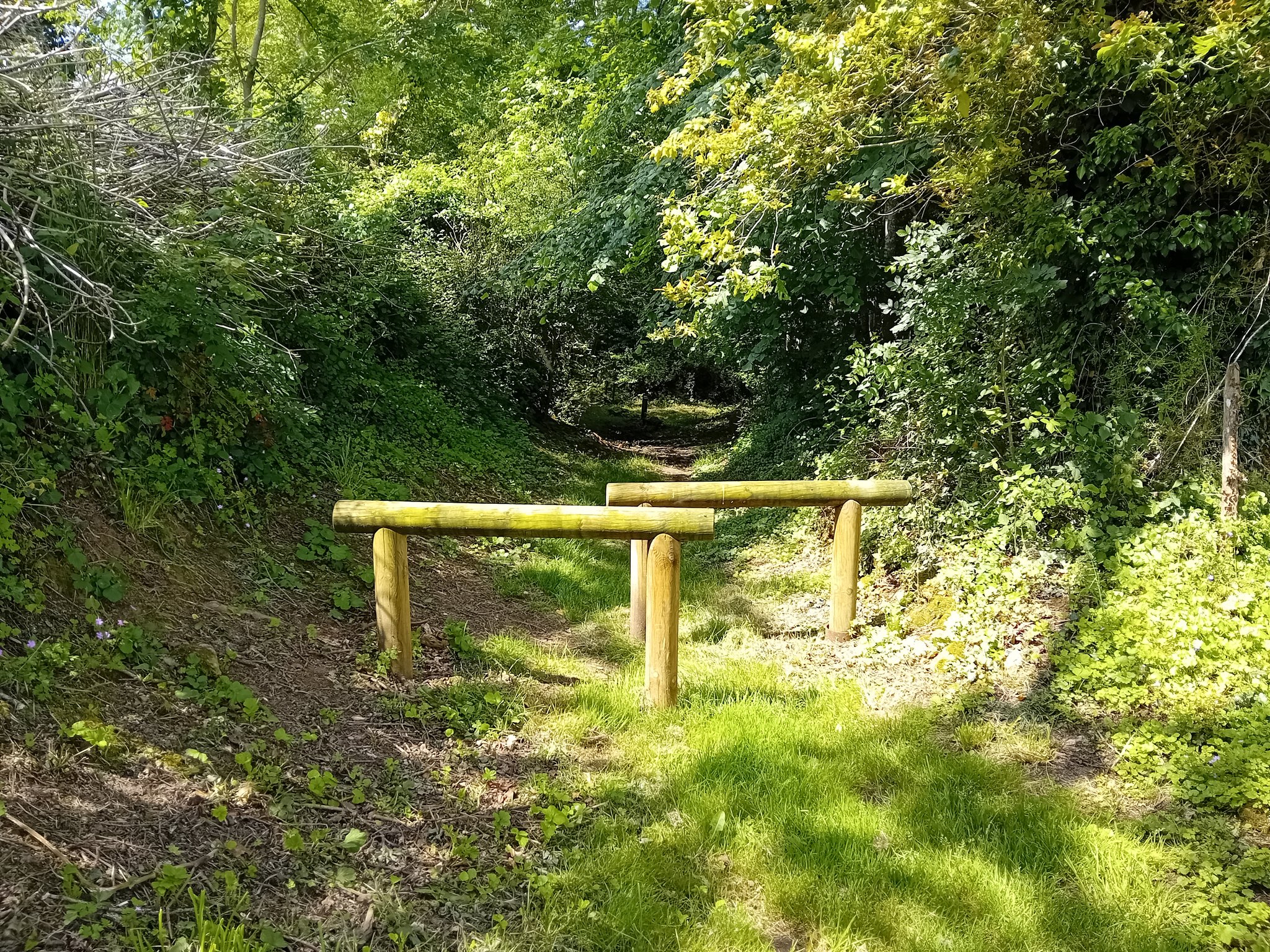 Trail au fil des vallées - parcours 4, Azay-le-Brûlé - photo 3