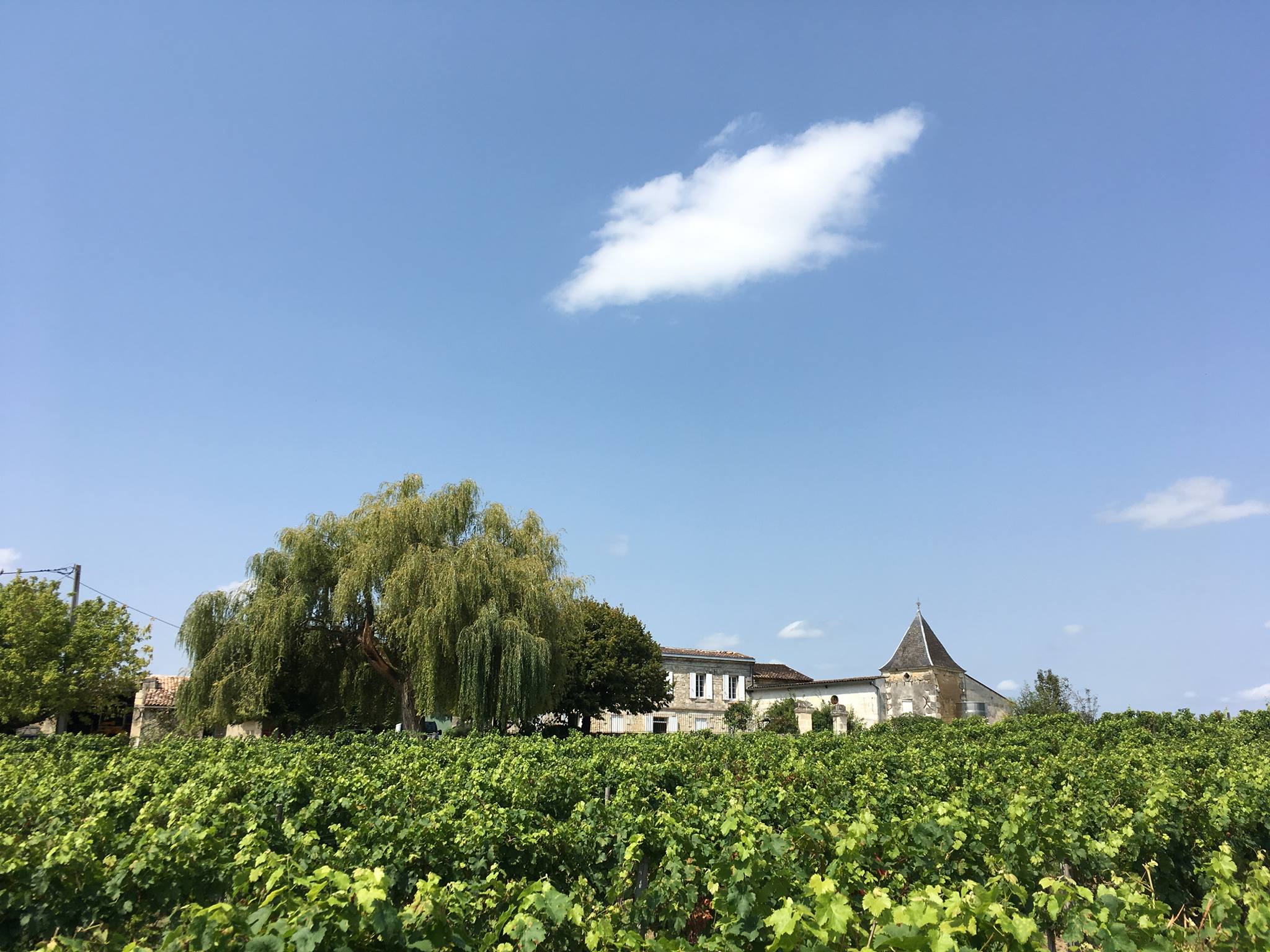 Château La Brande - "Un dimanche au Château en Fronsadais-Libournais", Saillans
