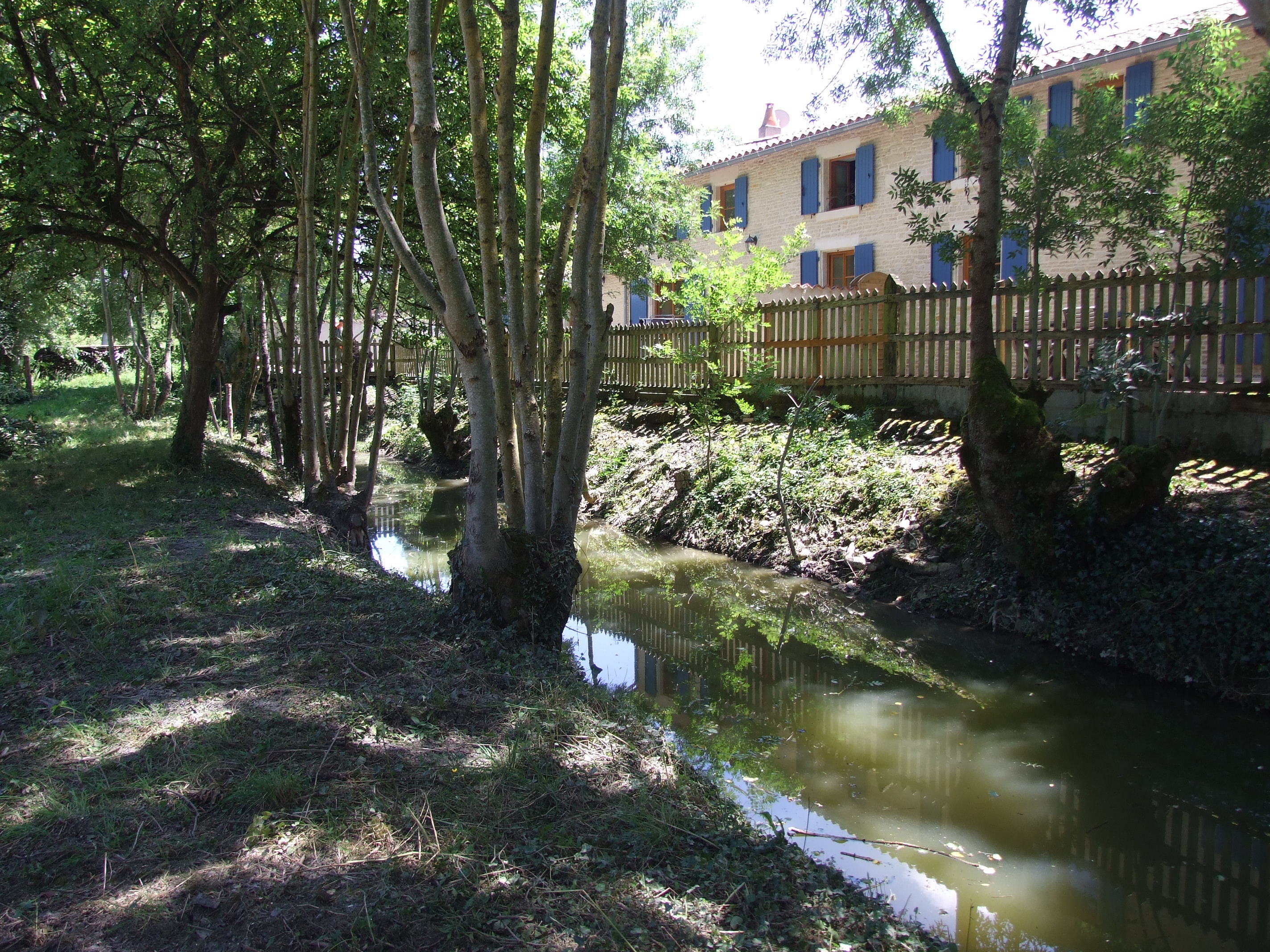 Les Sabots Bleus - L'Anguille, Arçais - photo 13
