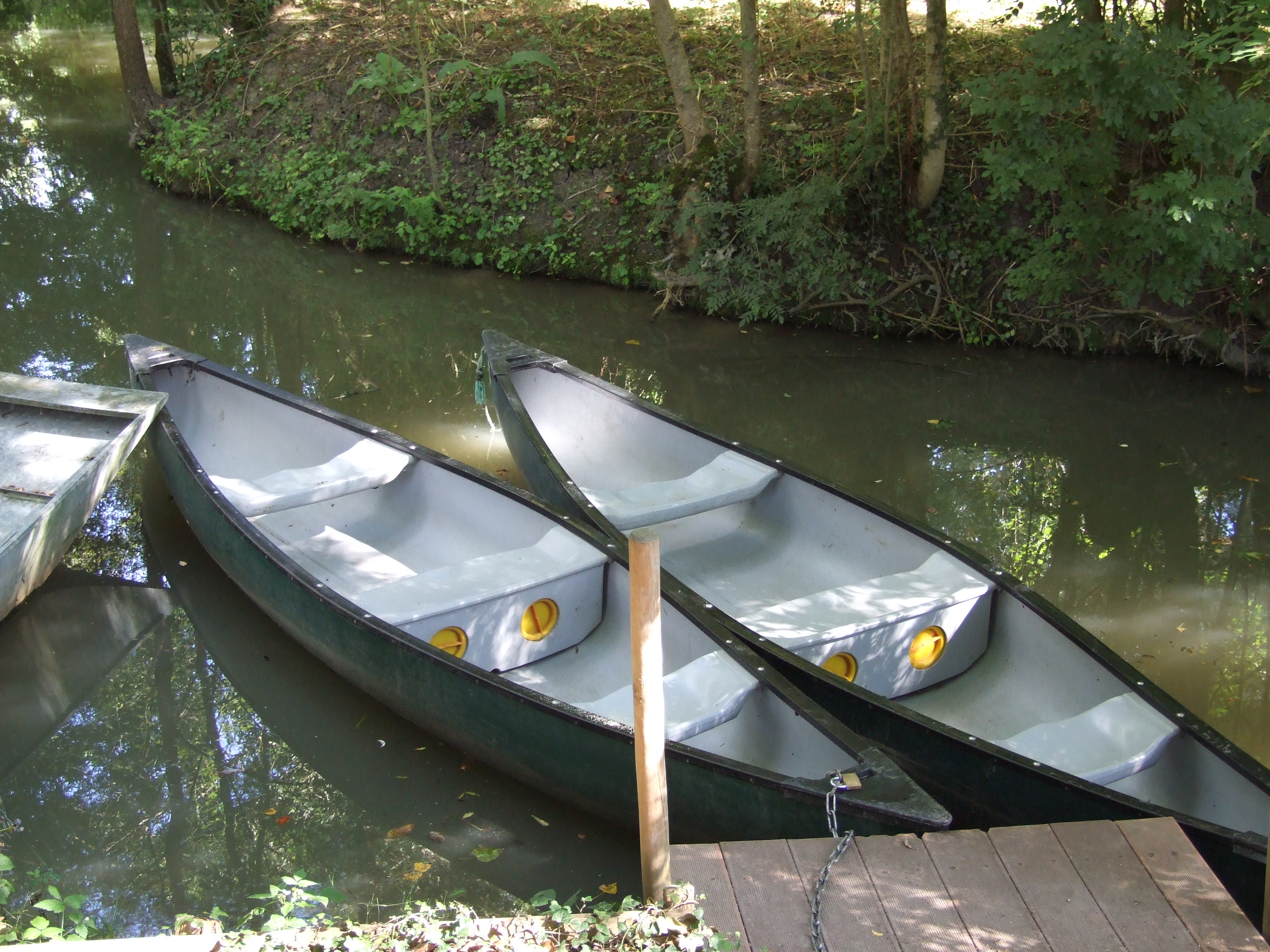 Les Sabots Bleus - L'Anguille, Arçais - photo 12
