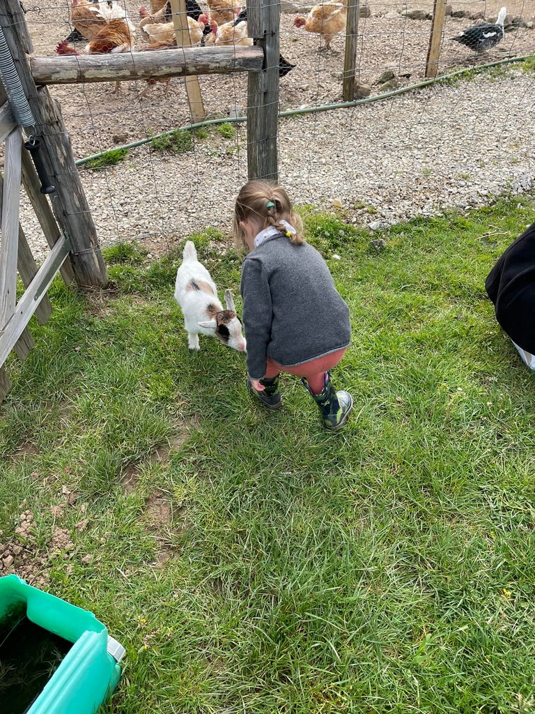 La Ferme de Brossard - Ferme Pédagogique et de Découverte, Lanteuil - photo 7