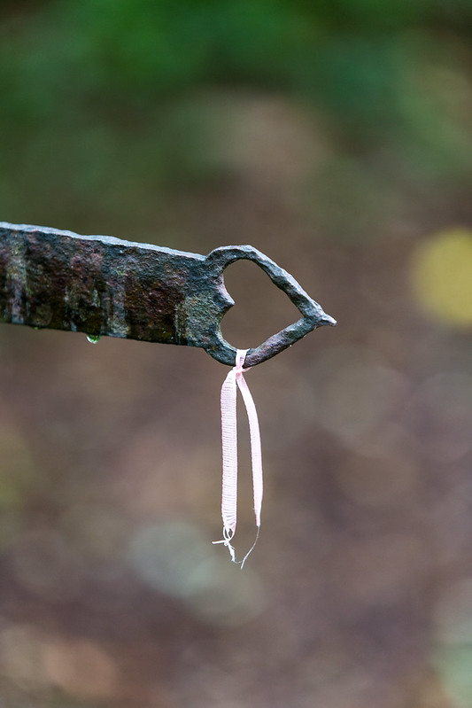 Fontaine Saint-Clair, Belin-Béliet - photo 4