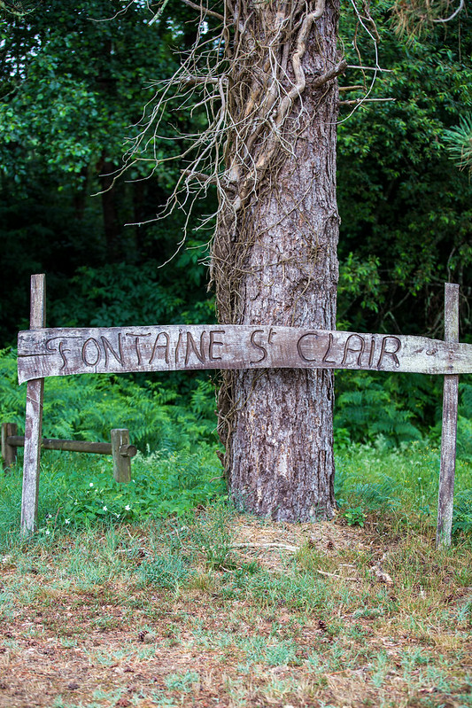 Fontaine Saint-Clair, Belin-Béliet - photo 3
